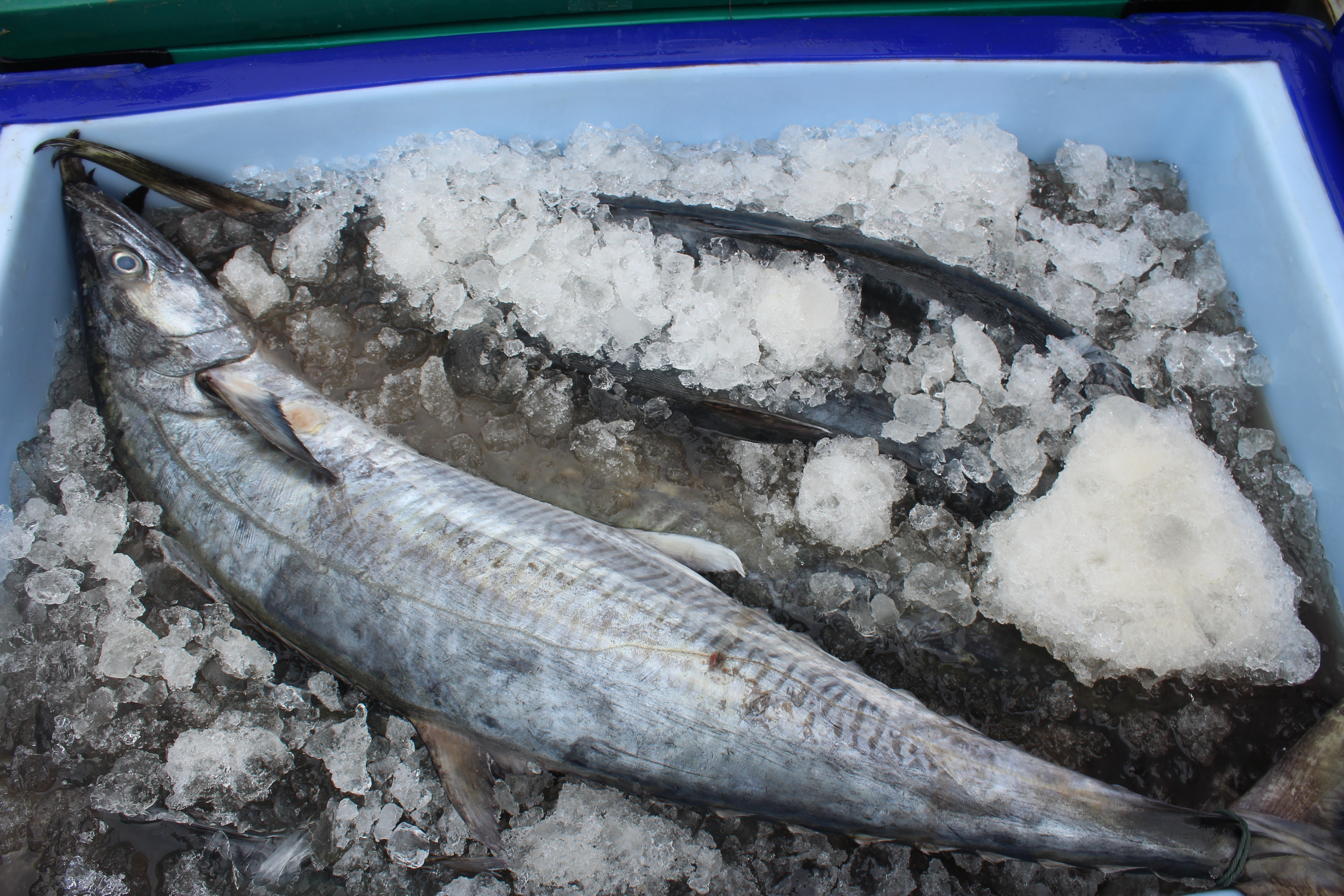 สินค้านำเข้าจากประเทศเมียนมาร์