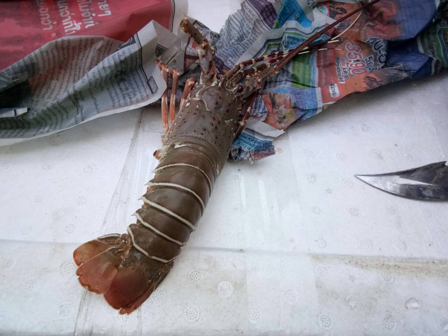 สินค้านำเข้าจากประเทศเมียนมาร์..คลิก