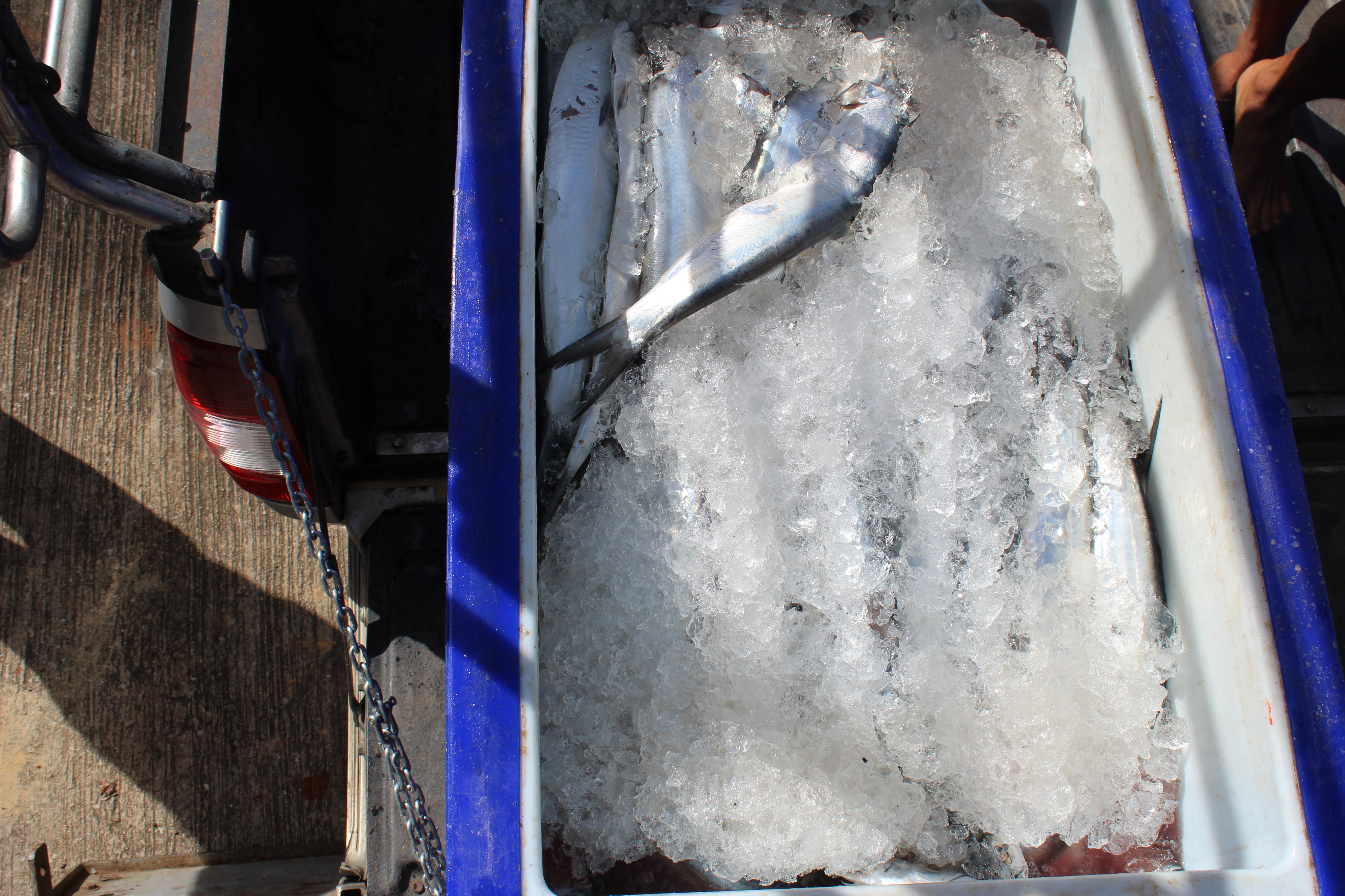 สินค้านำเข้าจากประเทศเมียนมาร์