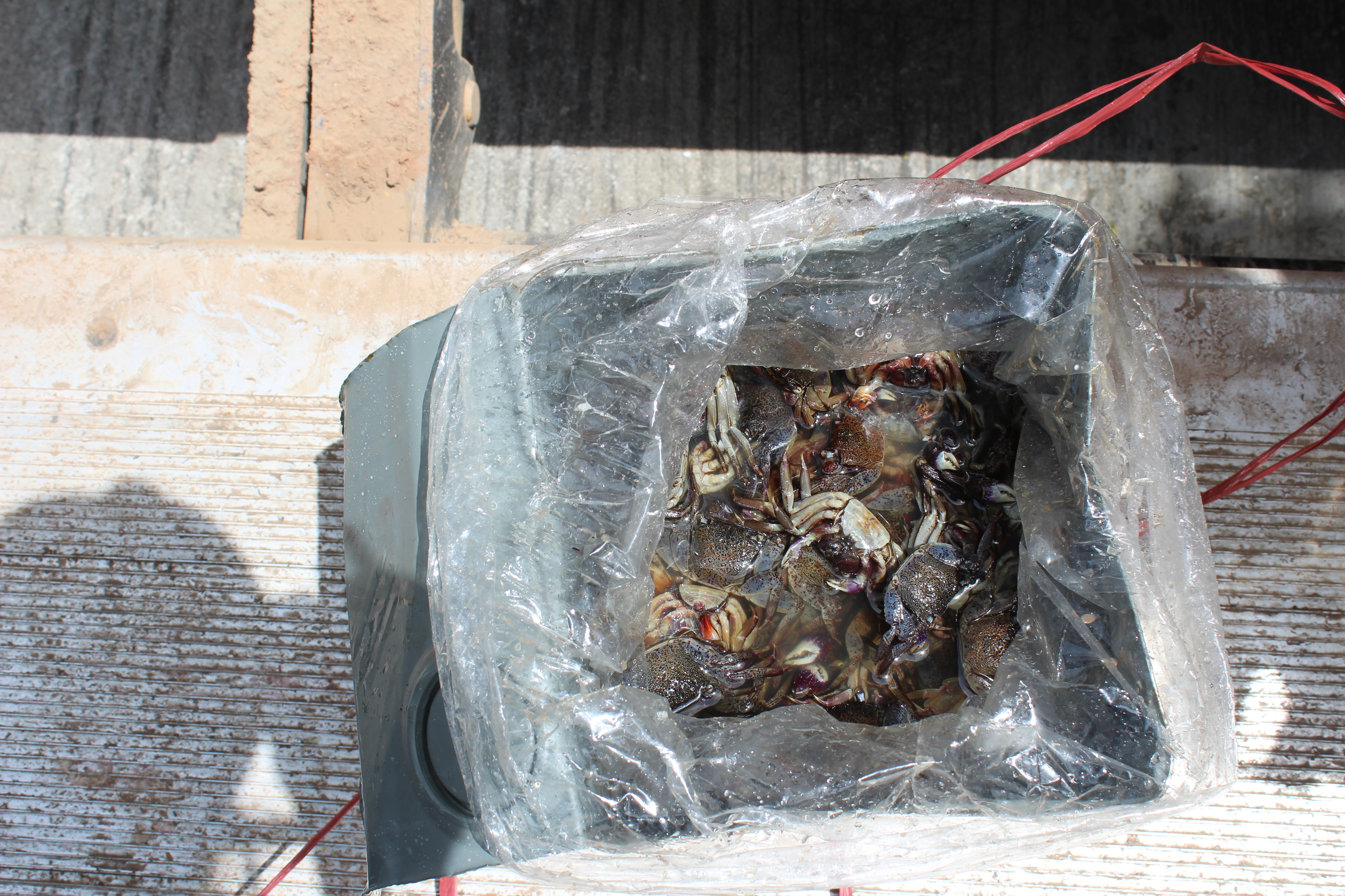 สินค้านำเข้าจากประเทศเมียนมาร์..คลิก