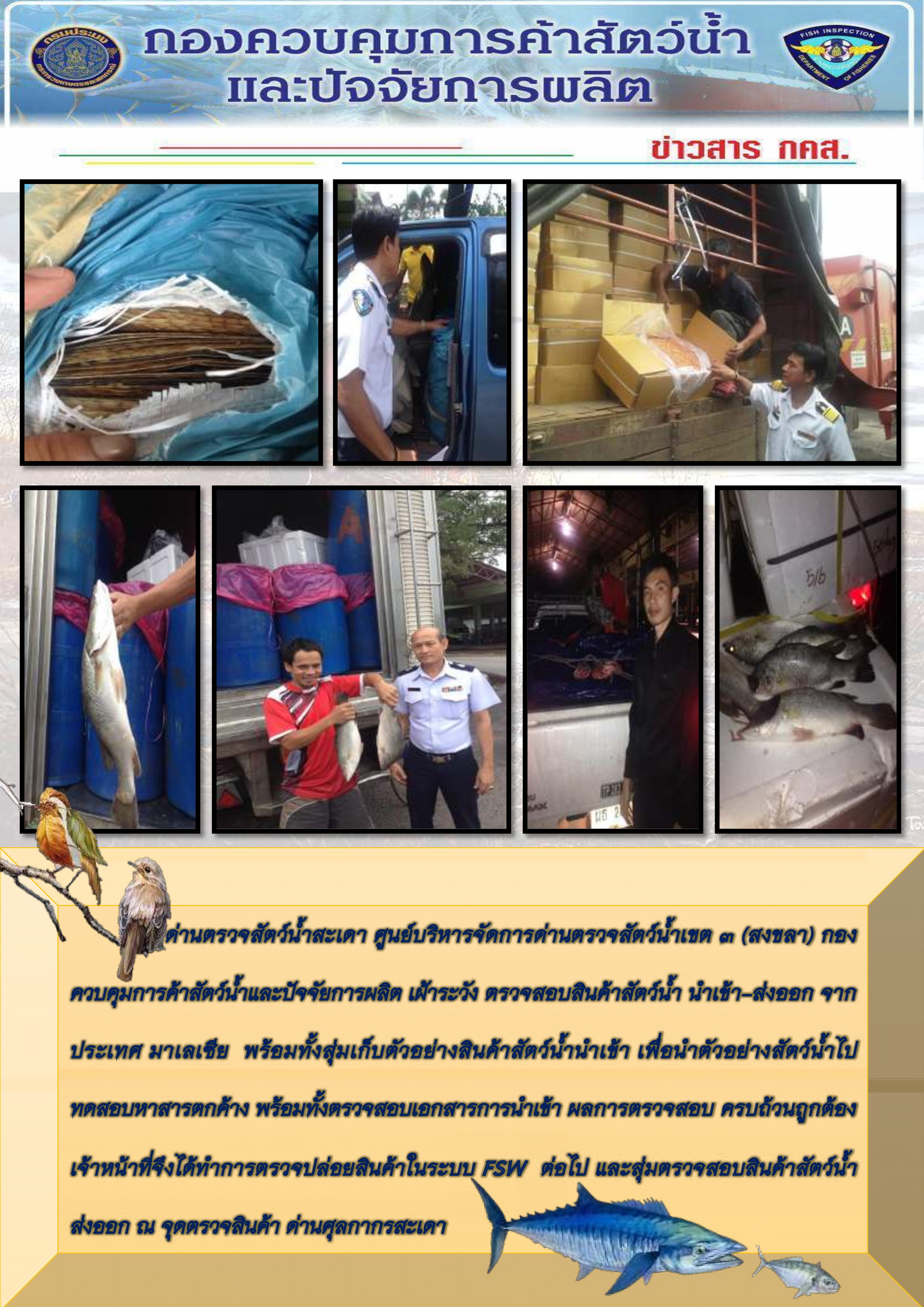 เจ้าหน้าที่เฝ้าระวัง ตรวจสอบสินค้าสัตว์น้ำ นำเข้า-ส่งออก จากประเทศมาเลเซีย ณ จุดตรวจสินค้าด่านศุลกากรสะเดา..คลิก