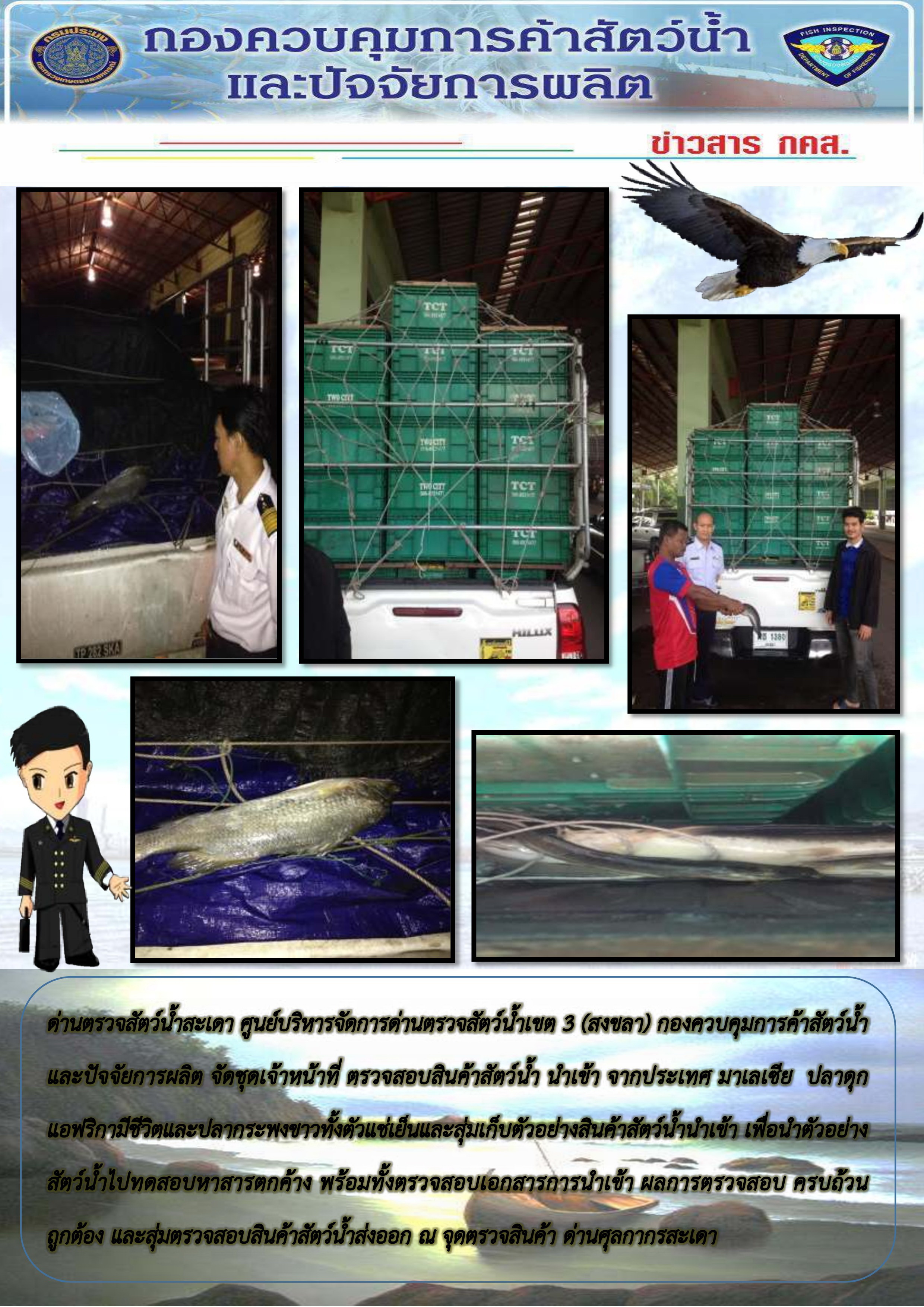 ข่าวสาร กคส. ประจำวันศุกร์ที่ 23 มิถุนายน 2560 เจ้าหน้าที่ตรวจสอบสินค้าสัตว์น้ำนำเข้าส่งออก ณ บริเวณจุดตรวจสินค้าด่านศุลกากรสะเดา..คลิก