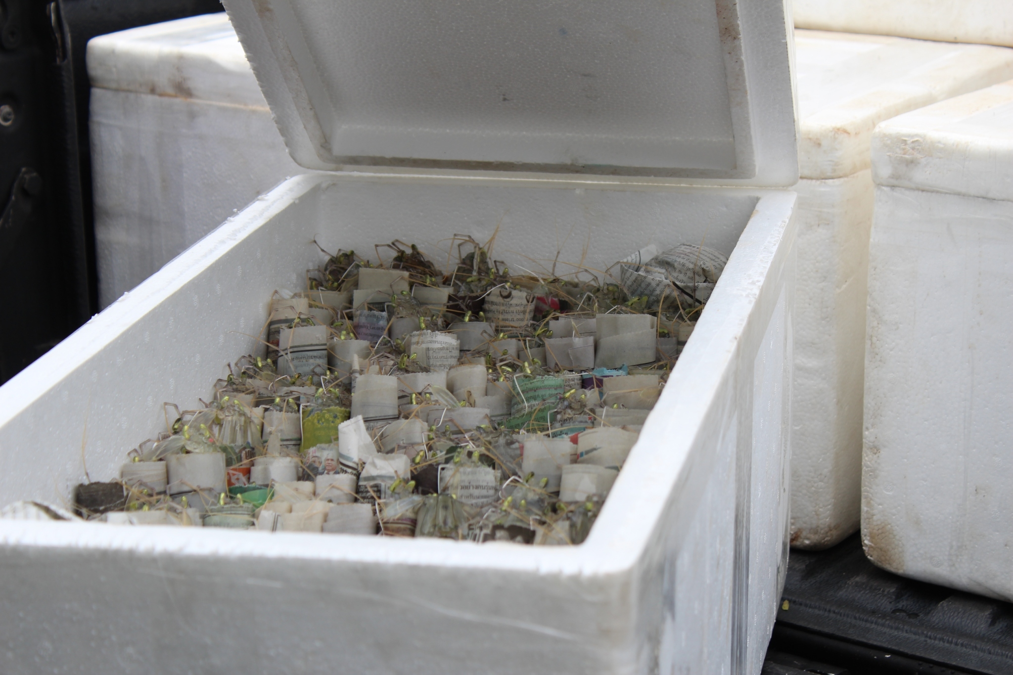 สินค้านำเข้าจากประเทศเมียนมาร์