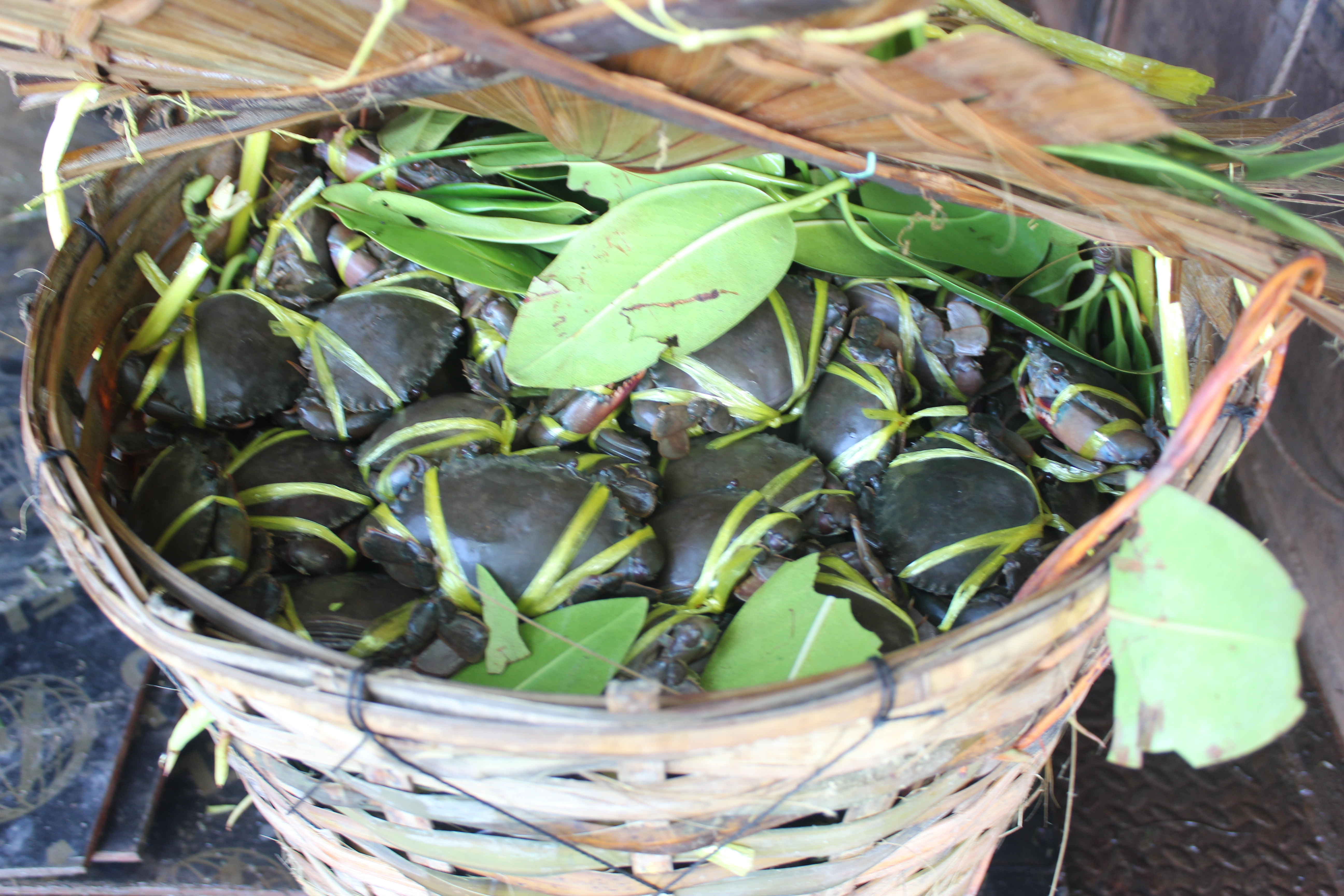 สินค้านำเข้าจากประเทศเมียนมาร์