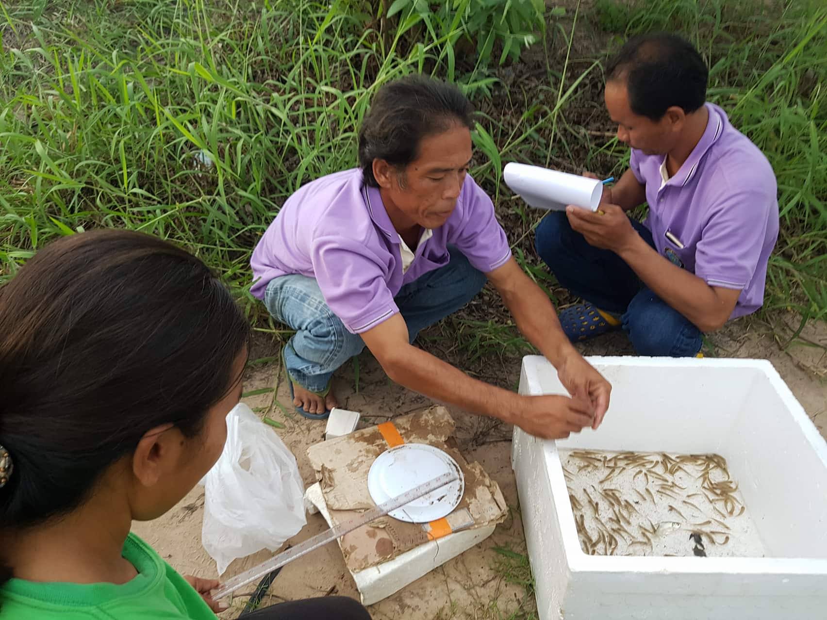 ศูนย์วิจัยและพัฒนาการเพาะเลี้ยงสัตว์น้ำจืดอำนาจเจริญ ร่วมกับสำนักงานประมงจังหวัดอำนาจเจริญ และ คณะกรรมการดำเนินงานโครงการธนาคารผลผลิตเกษตรด้าน การประมงบ้านฟ้าห่วนและบ้านนาอุดม ร่วมปล่อยปลา ลงในแหล่งน้ำหนองเลิงเป็ด..คลิก