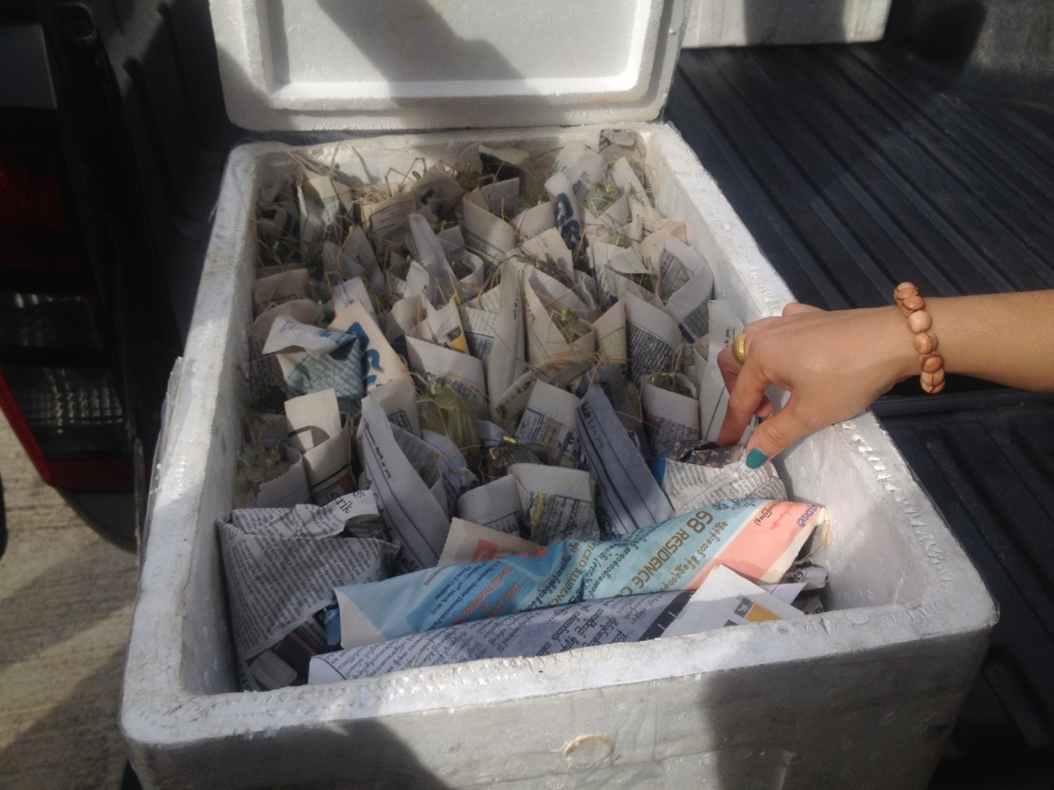 สินค้านำเข้าจากประเทศเมียนมาร์..คลิก