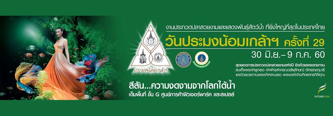 วันประมงน้อมเกล้าฯ ครั้งที่ 29..คลิก