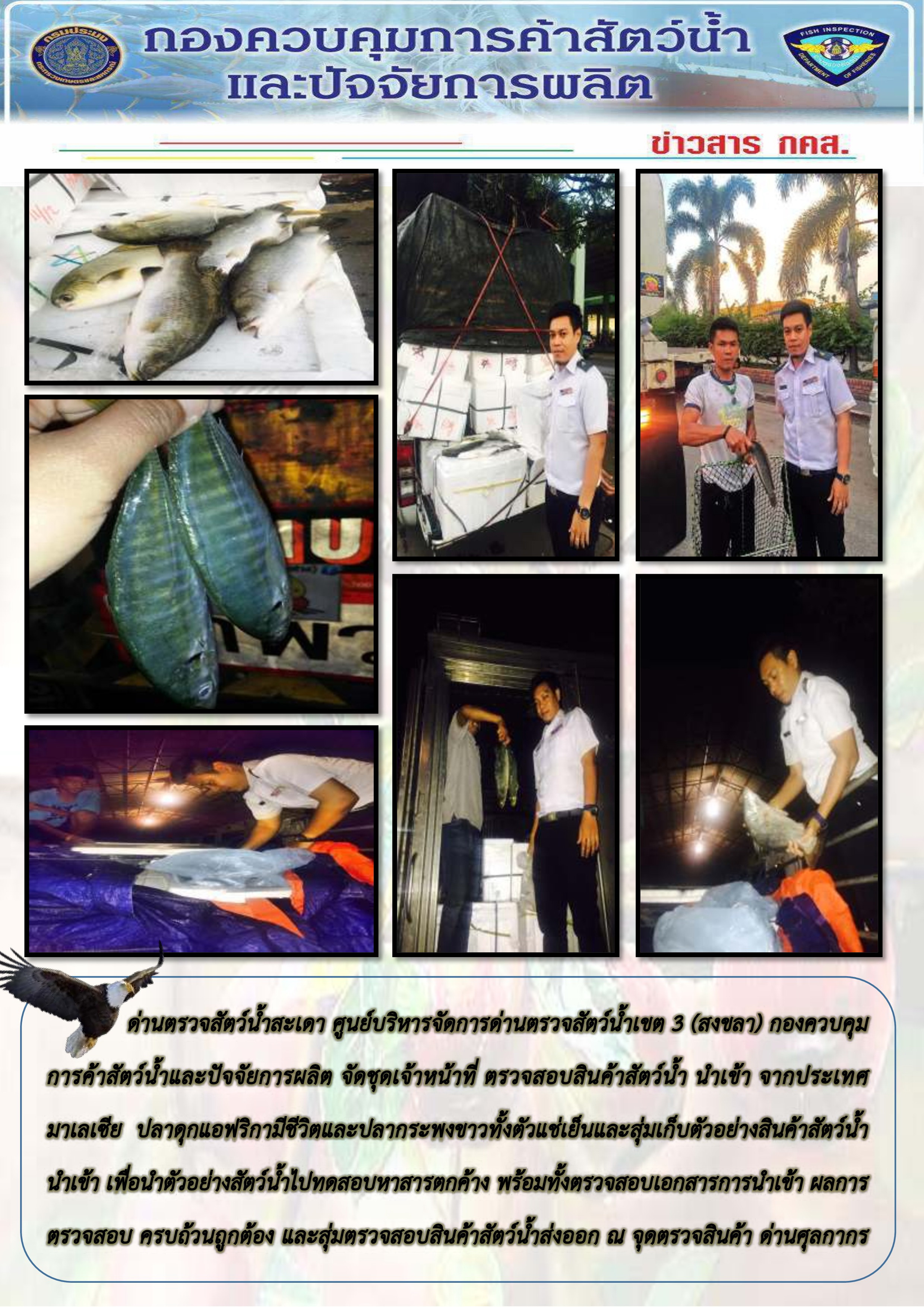 เจ้าหน้าที่ด่าน ฯ สะเดา ตรวจสอบสินค้าสัตว์น้ำนำเข้าจากประเทศมาเลเซีย และตรวจสอบสินค้าส่งออกสัตว์น้ำ ณ บริเวณจุดตรวจสินค้าด่านศุลกากรสะเดา..คลิก