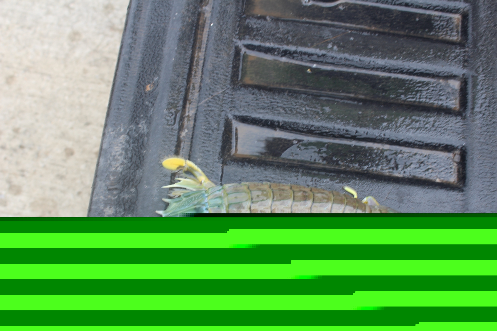 สินค้านำเข้าจากประเทศเมียนมาร์..คลิก