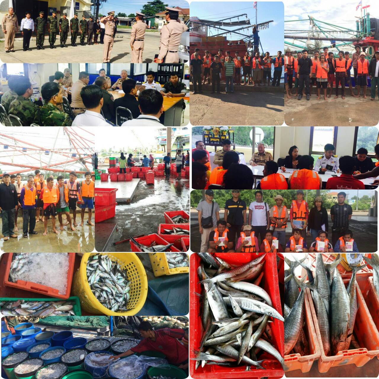 ประมวลภาพกิจกรรมการตรวจเรือ ณ ท่าเทียบเรือ ของศูนย์ควบคุมการแจ้งเข้า-ออกเรือประมงนราธิวาส ประจำปี เดือนมิถุนายน 2560..คลิก