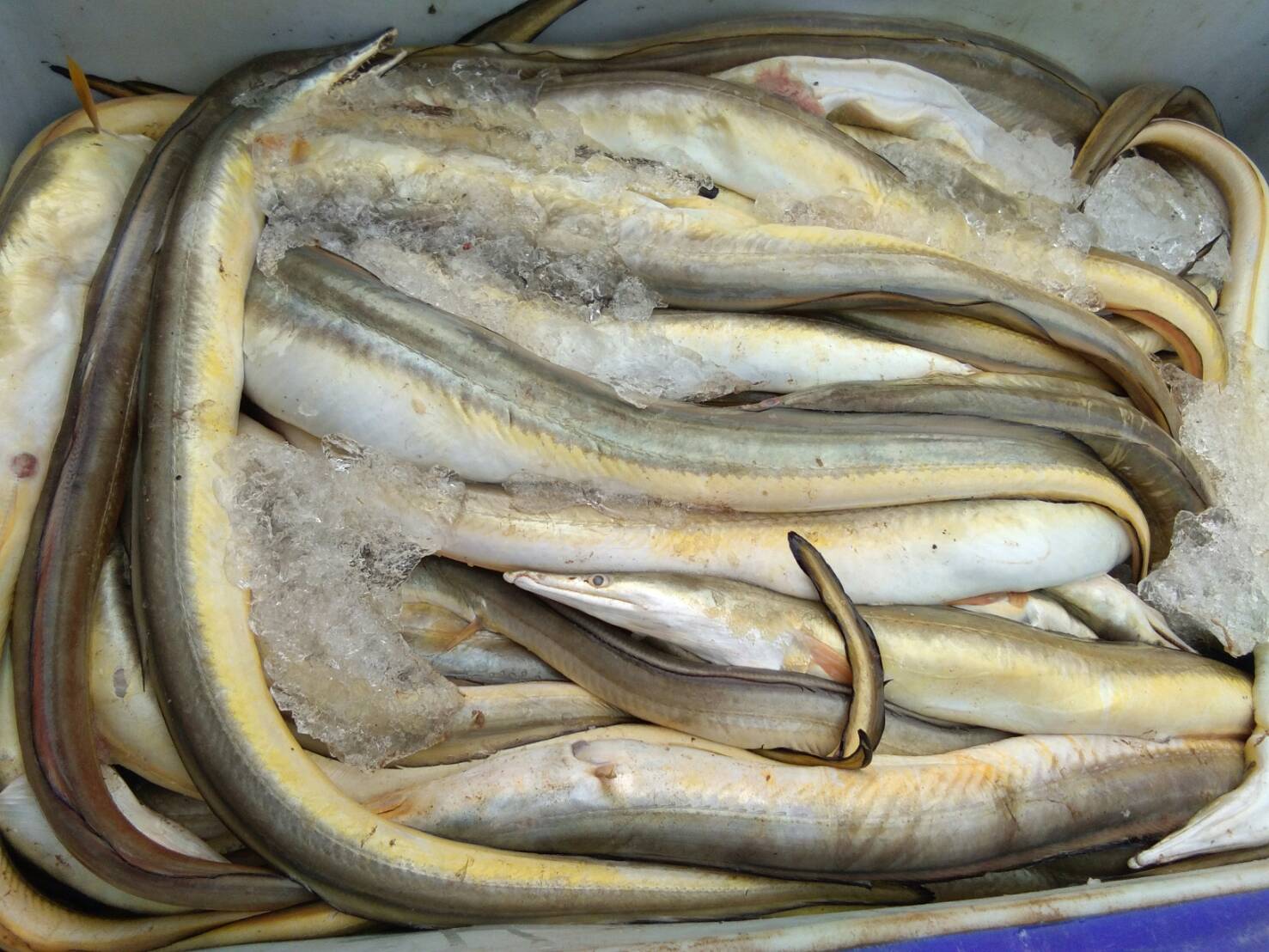 สินค้านำเข้าจากประเทศเมียนมาร์..คลิก