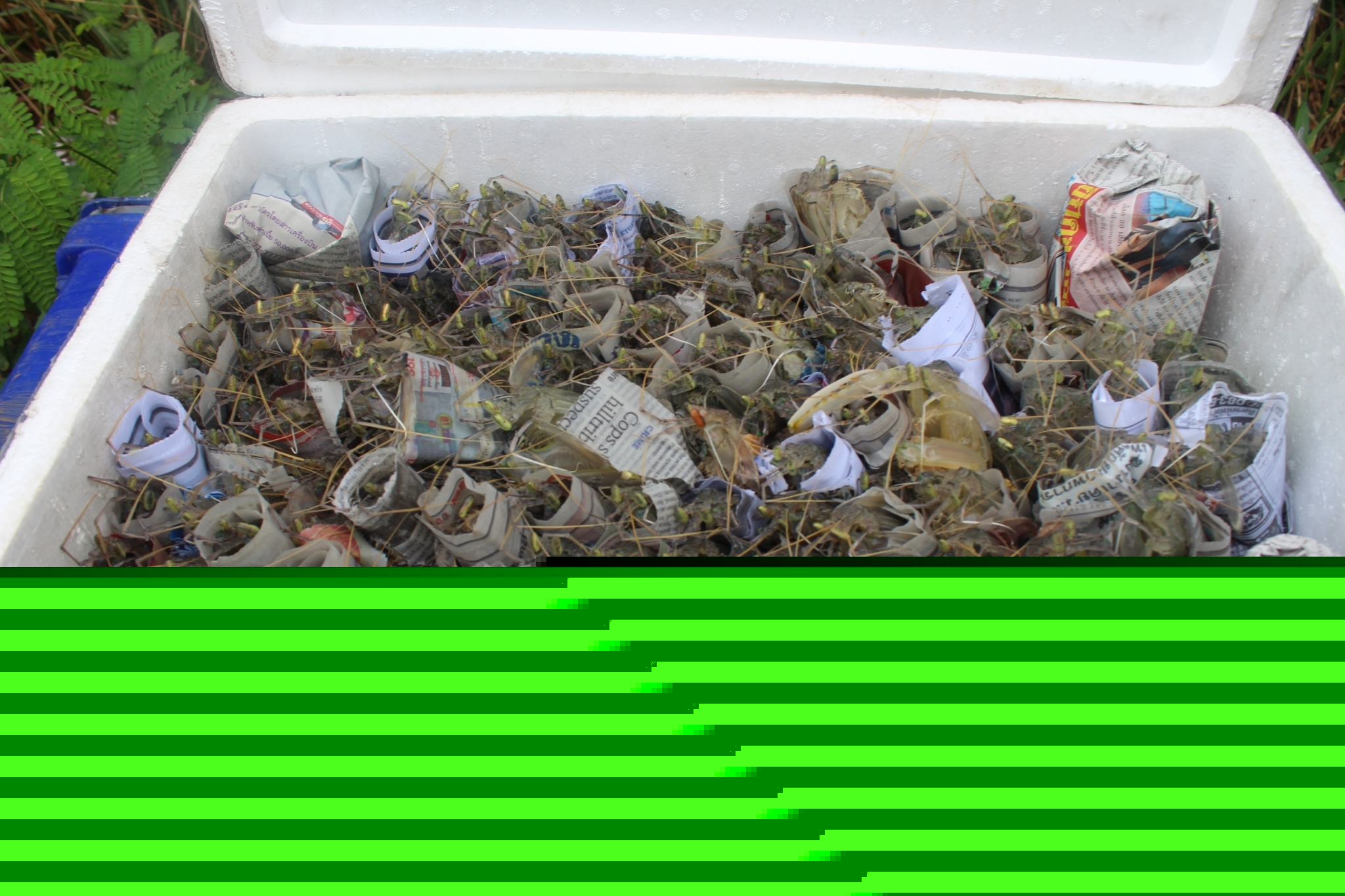 สินค้านำเข้าจากประเทศเมียนมาร์..คลิก