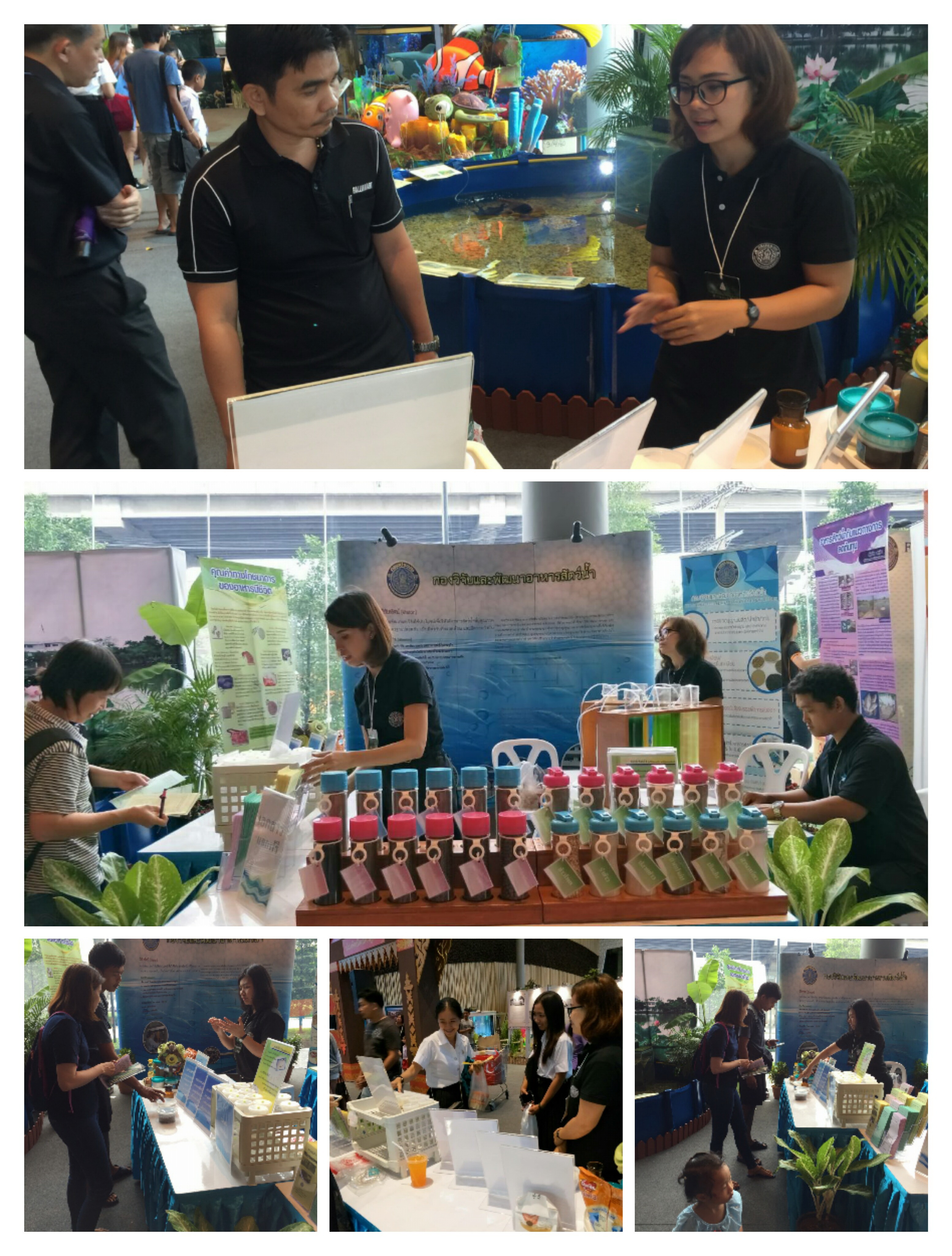 ประมวลภาพกิจกรรม...กองวิจัยและพัฒนาอาหารสัตว์น้ำ ร่วมจัดนิทรรศการงานประมงน้อมเกล้า ครั้งที่ 29..คลิก