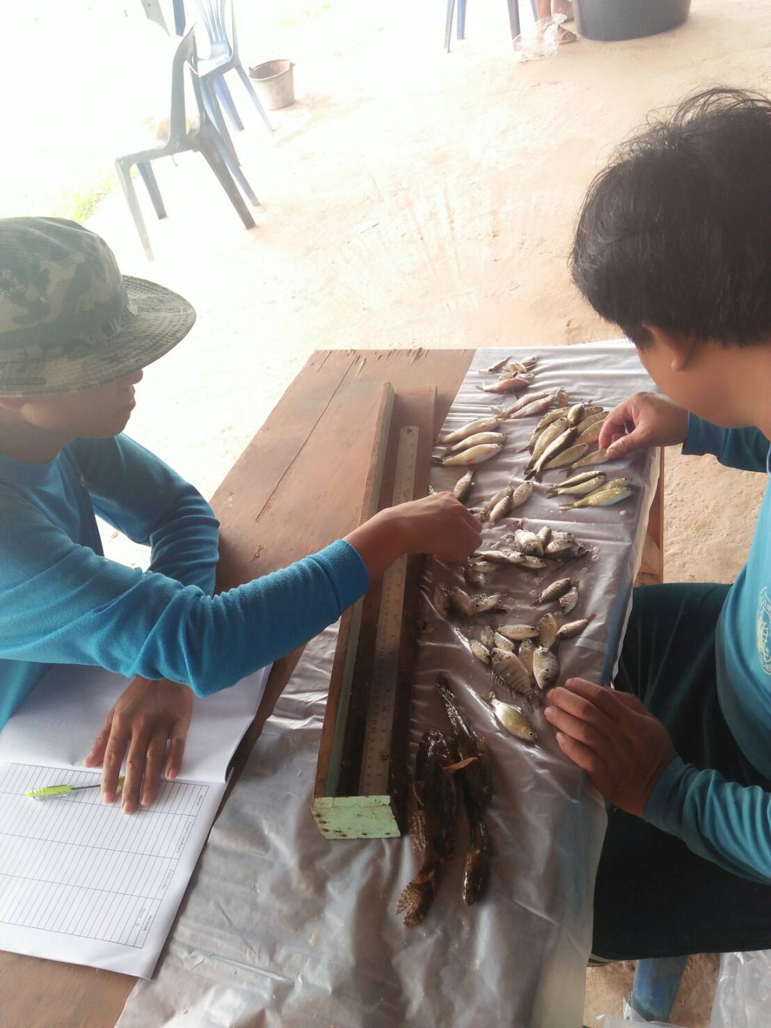 โครงการธนาคารผลผลิตเกษตรด้านการประมง