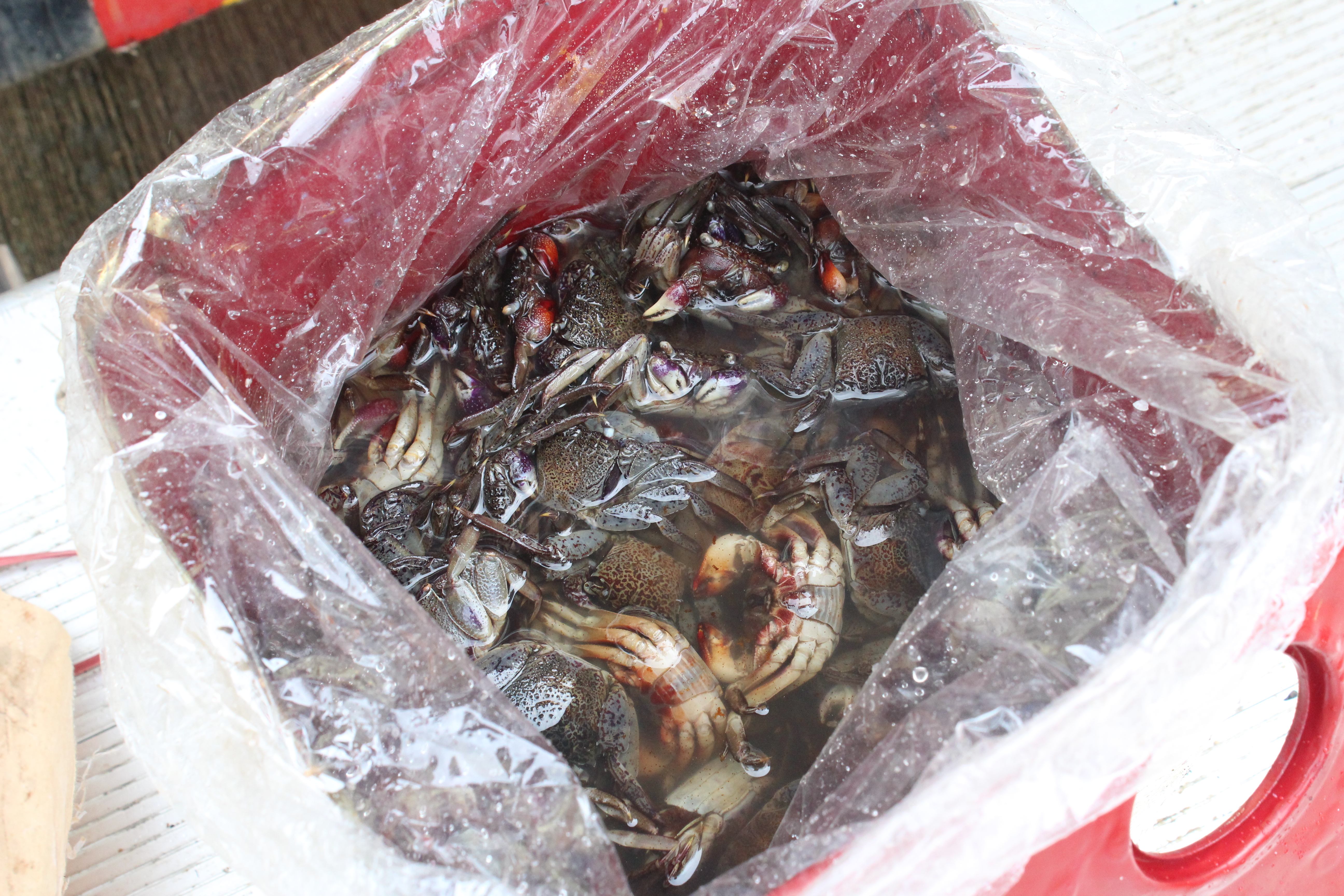 สินค้านำเข้าจากประเทศเมียนมาร์