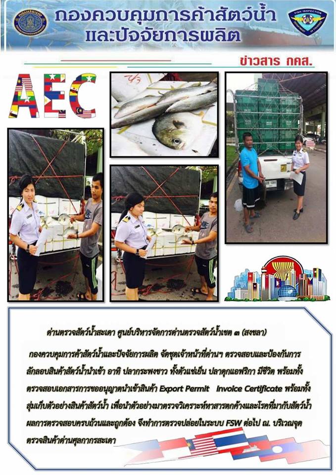 31 กรกฎาคม 2560 เจ้าหน้าที่ด่านฯสะเดา ตรวจสอบสินค้าสัตว์น้ำนำเข้า-ส่งออก ณ บริเวณจุดตรวจสินค้าด่านศุลกากรสะเดา..คลิก