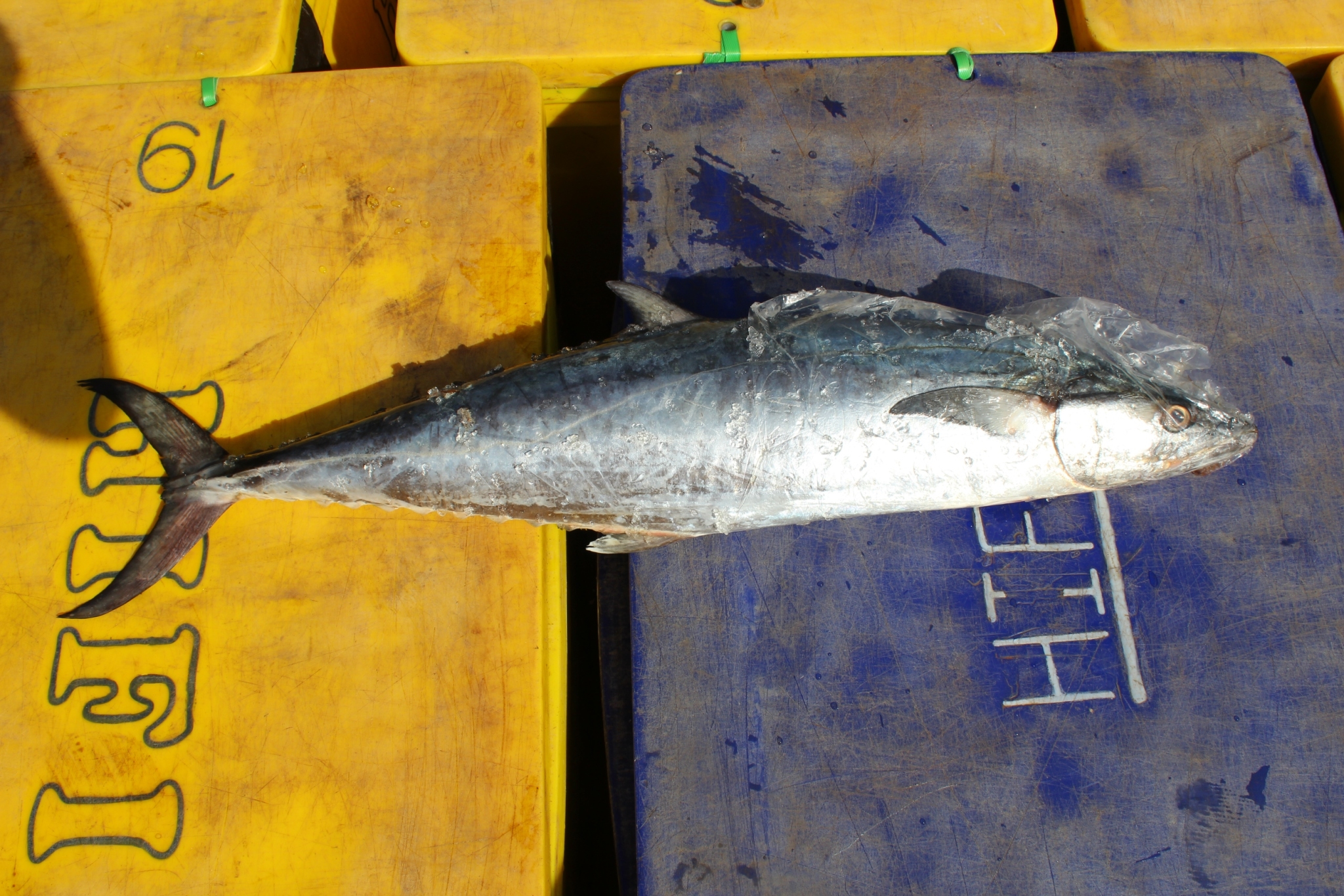 สินค้านำเข้าจากประเทศเมียนมาร์