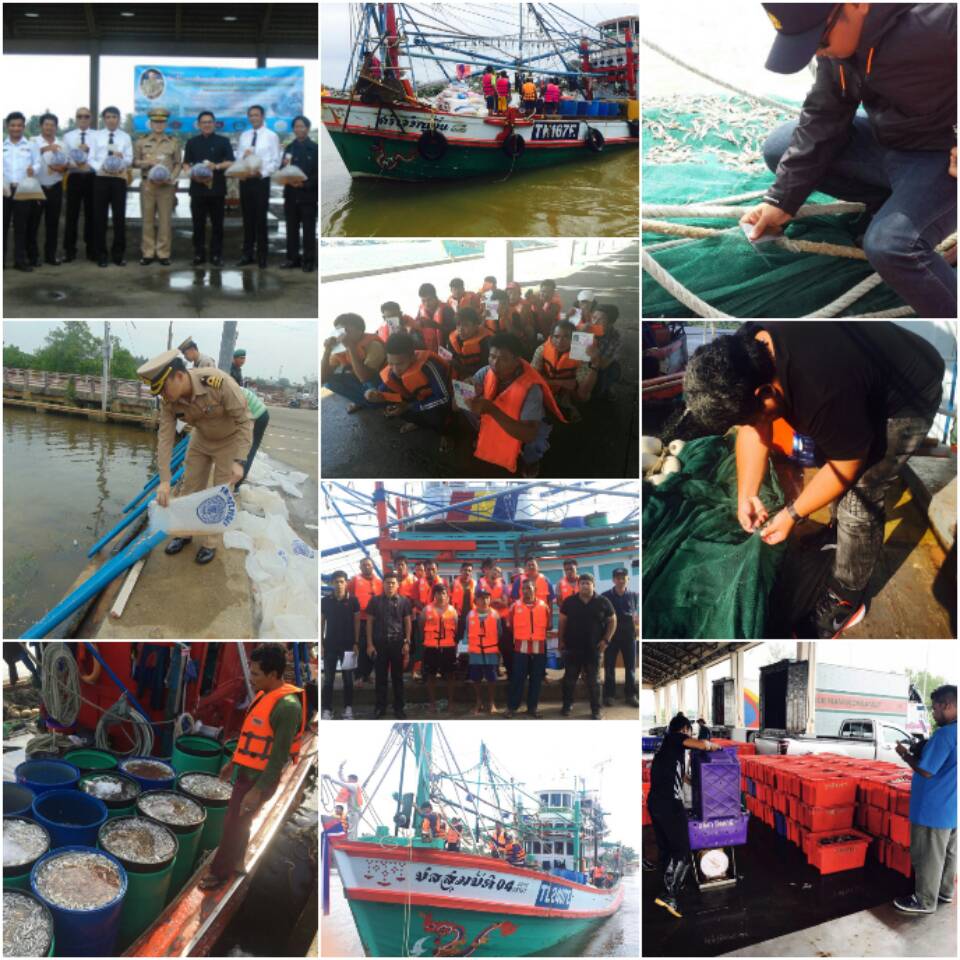 ประมวลภาพกิจกรรมการตรวจเรือ ณ ท่าเทียบเรือ ของศูนย์ควบคุมการแจ้งเข้า-ออกเรือประมงนราธิวาส ประจำปี เดือนกรกฎาคม 2560 ..คลิก