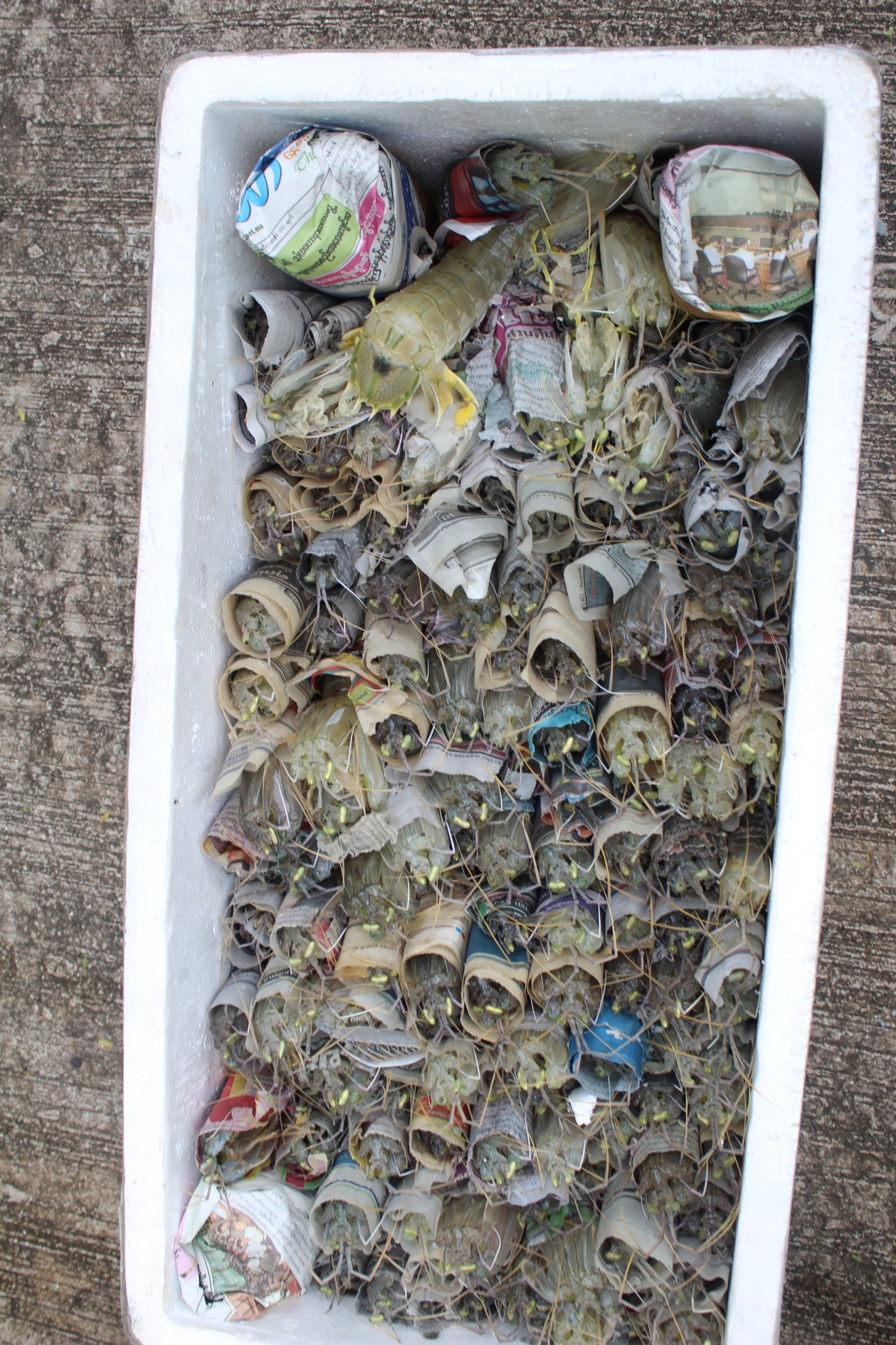 สินค้านำเข้าจากประเทศเมียนมาร์