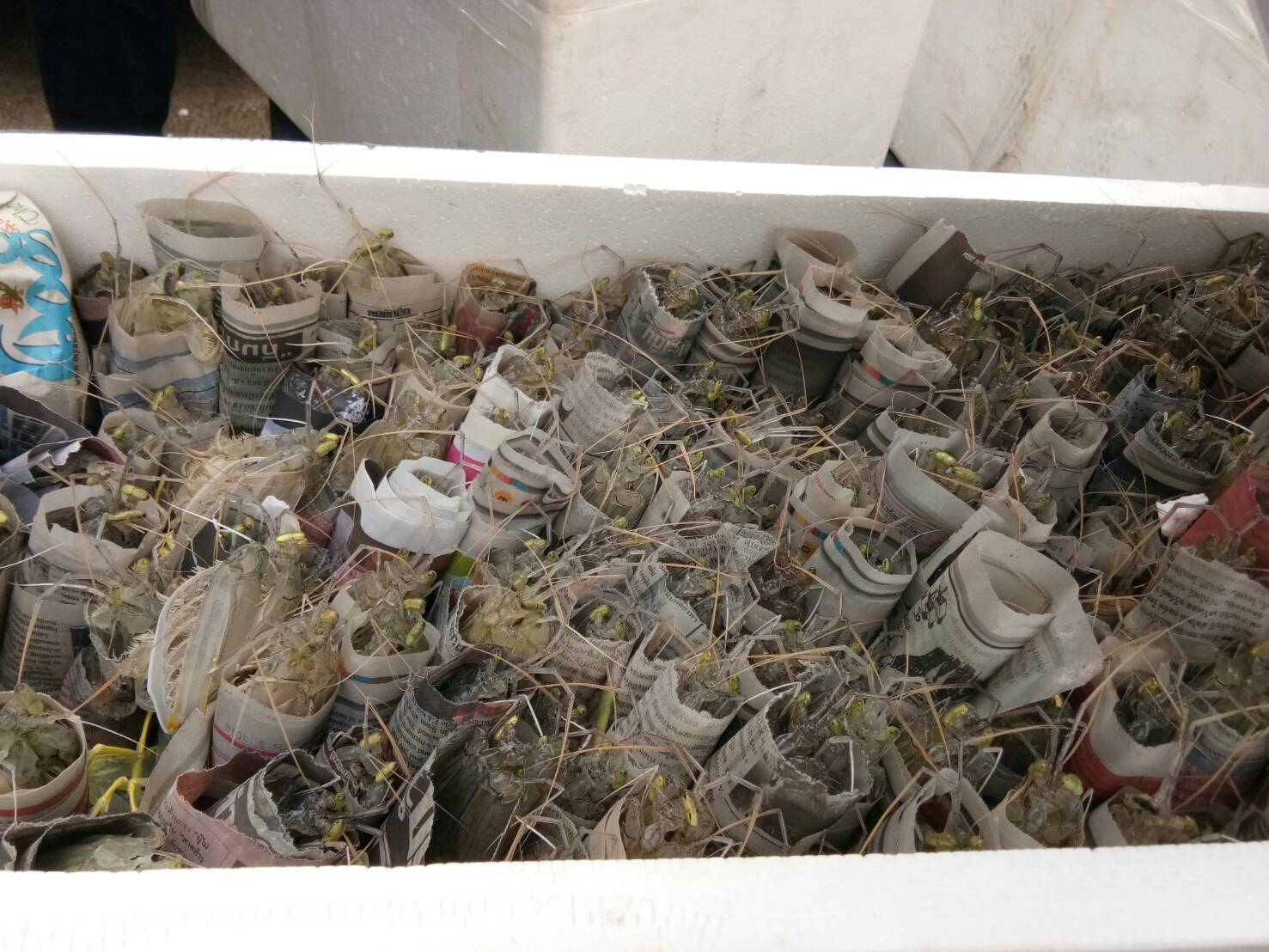 สินค้านำเข้าจากประเทศเมียนมาร์