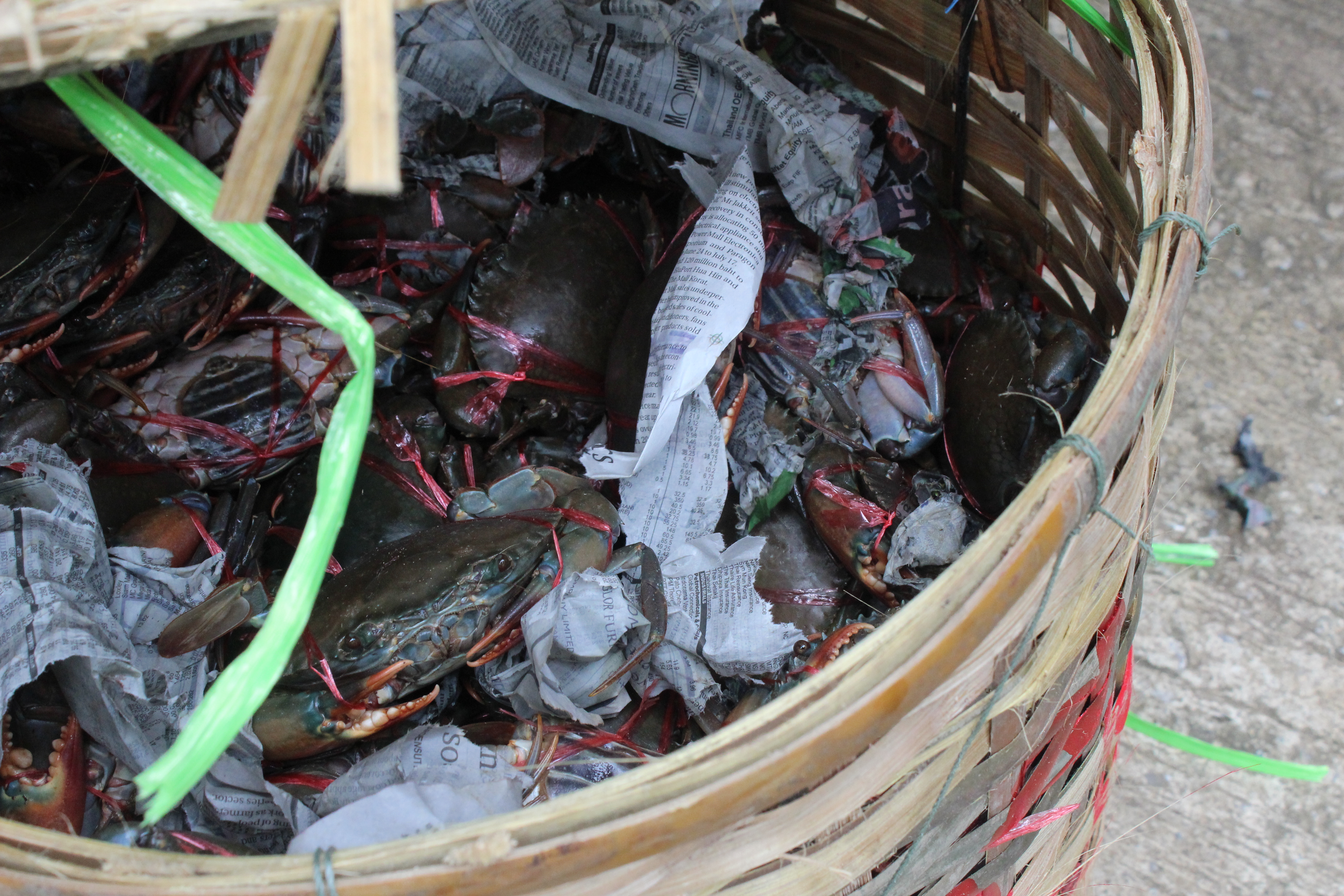 สินค้านำเข้าจากประเทศเมียนมาร์