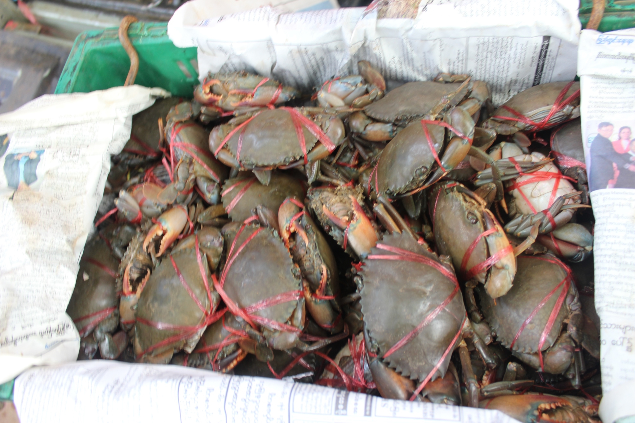 สินค้านำเข้าจากประเทศเมียนมาร์..คลิก