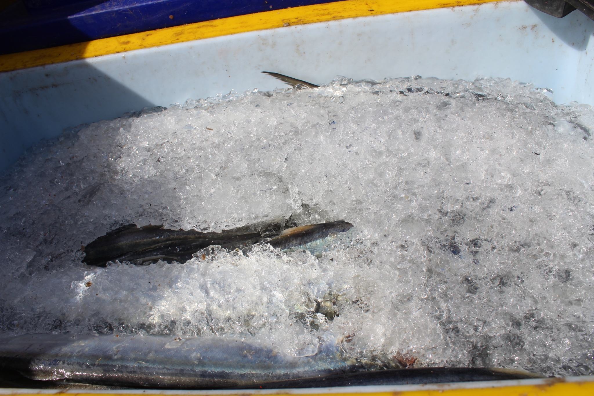 สินค้านำเข้าจากประเทศเมียนมาร์