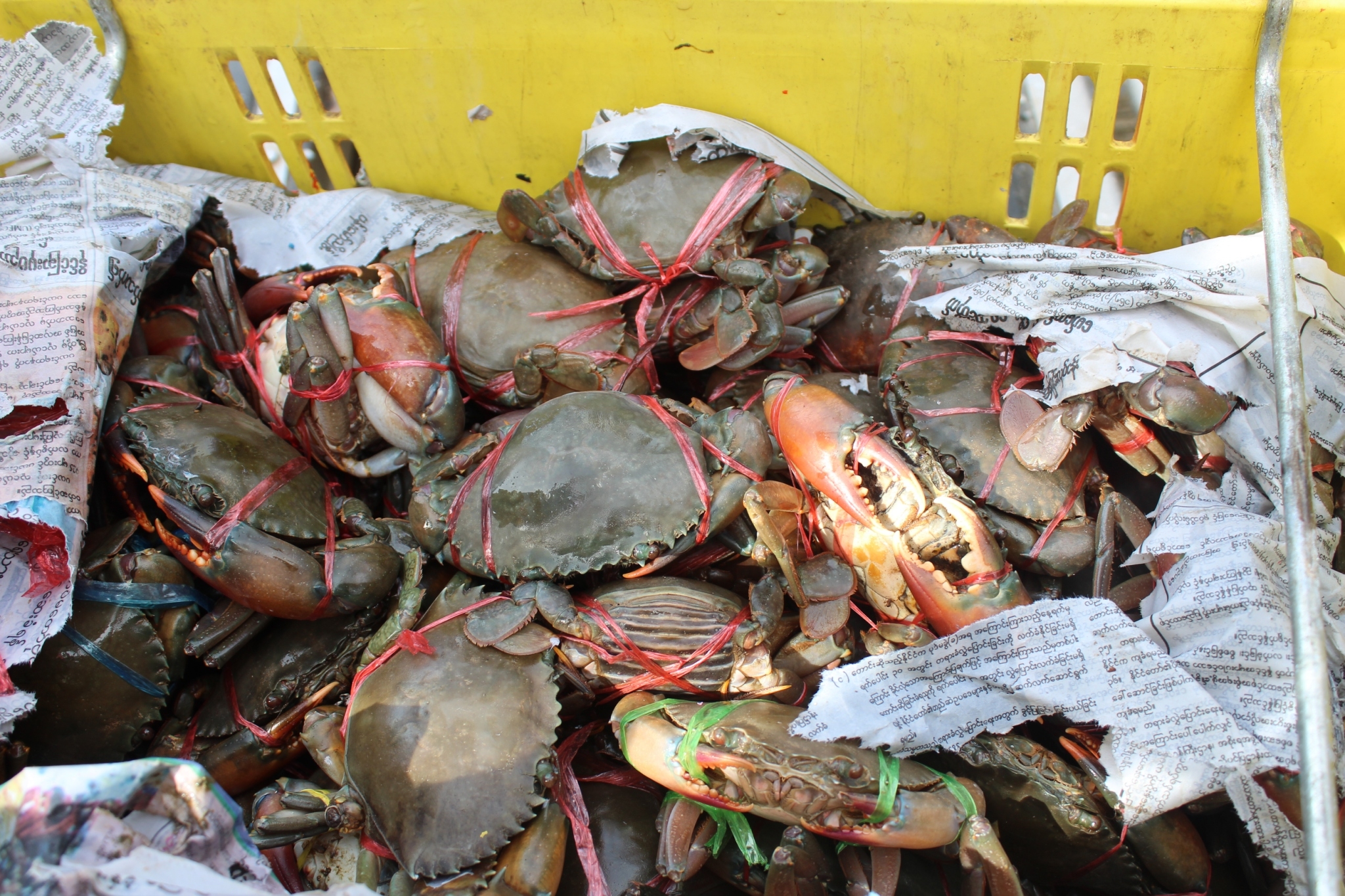 สินค้านำเข้าจากประเทศเมียนมาร์..คลิก