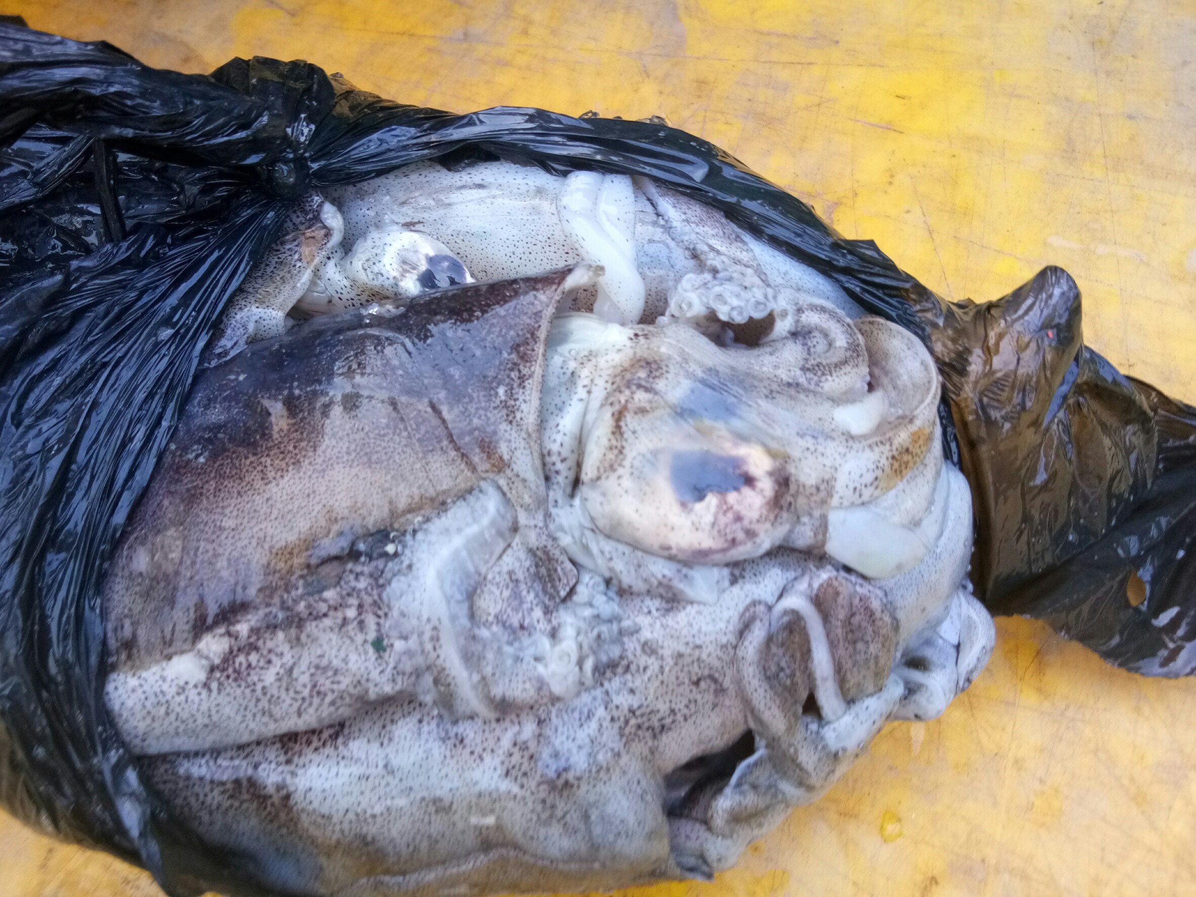 สินค้านำเข้าจากประเทศเมียนมา