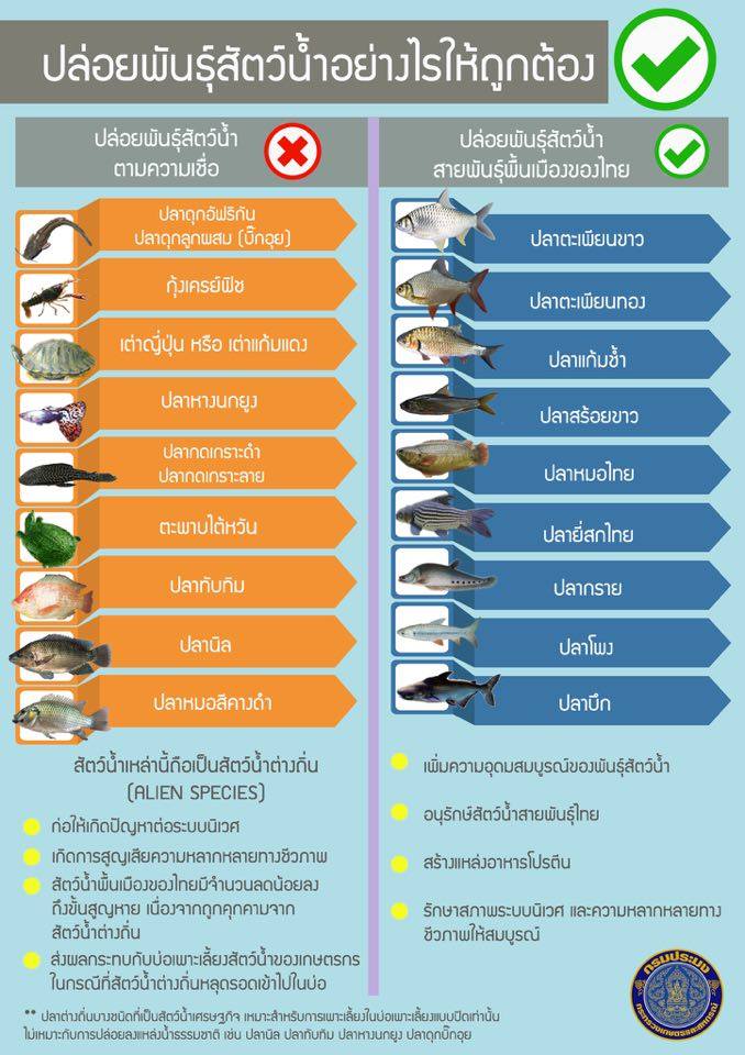 ปล่อยพันธุ์สัตว์น้ำอย่างไรให้ถูกต้อง..คลิก