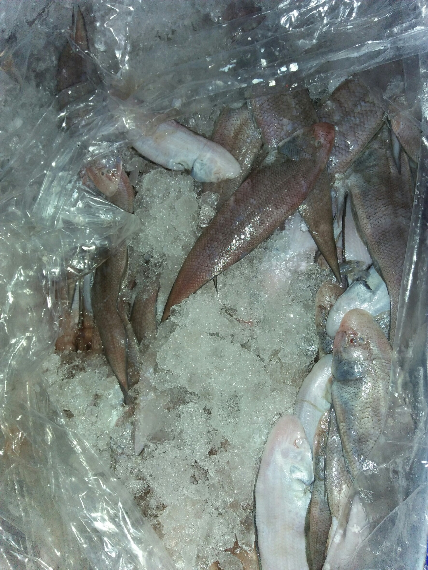 สินค้านำเข้าจากประเทศเมียนมา..คลิก