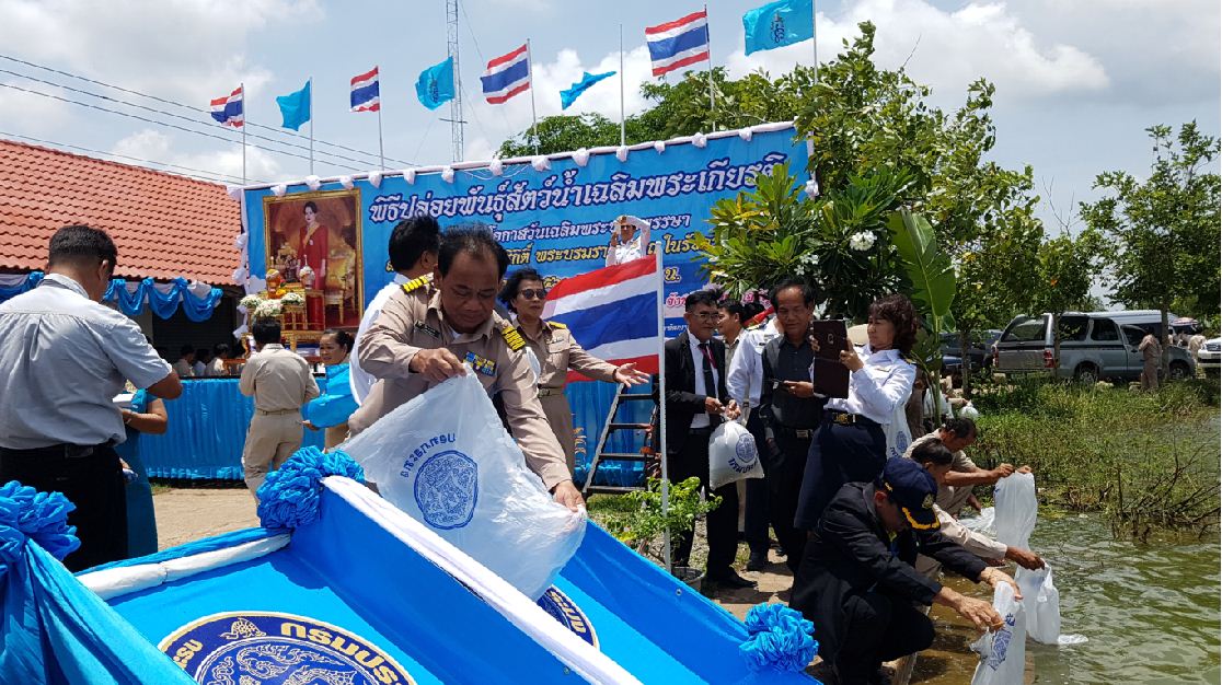 ศูนย์วิจัยและพัฒนาการเพาะเลี้ยงสัตว์น้ำจืดอำนาจเจริญร่วมกับสำนักงานประมงจังหวัดอำนาจเจริญ เทศบาลตำบลอำนาจ อำเภอลืออำนาจ พร้อมด้วยหัวหน้าส่วนราชการ รัฐวิสาหกิจ ตลอดจนประชาชนทุกหมู่เหล่า ร่วมพิธีปล่อยพันธุ์สัตว์น้ำเฉลิมพระเกียรติ เนื่องในโอกาสวันเฉลิมพระชนมพรรษา สมเด็จพระนางเจ้าสิริกิติ์พระบรมราชินีนาถ ในรัชกาลที่ 9  ..คลิก