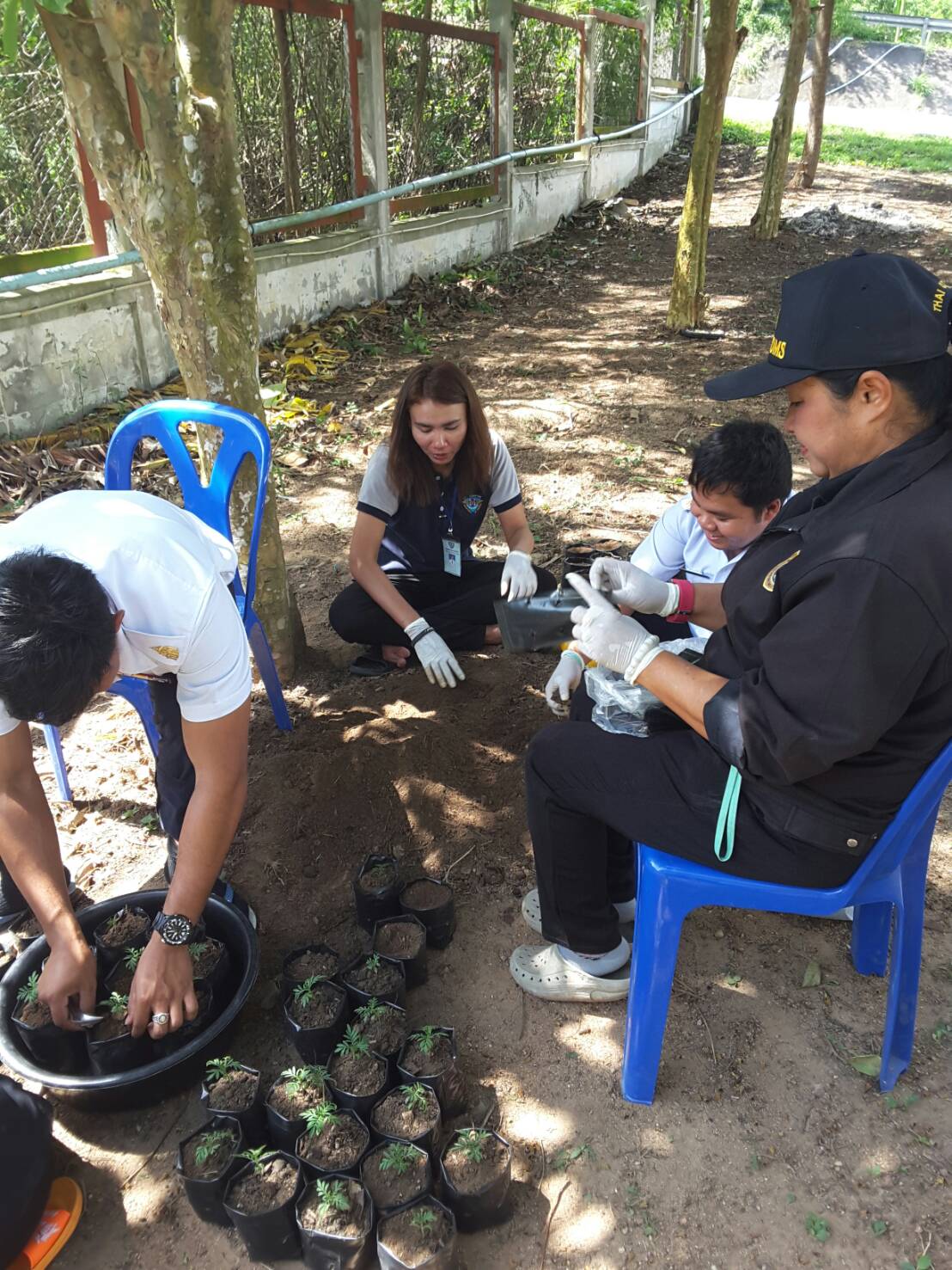 ด่านตรวจสัตว์น้ำจังหวัดประจวบคีรีขันธ์...เชิญชวนคนไทย ปลูกดอกดาวเรือง...เหลืองทั่วไทย..คลิก