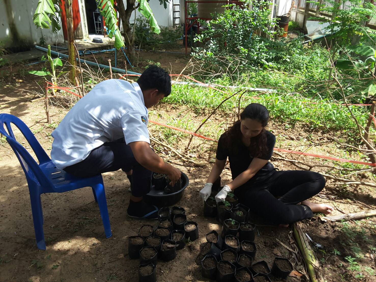 ด่านตรวจสัตว์น้ำจังหวัดประจวบคีรีขันธ์...เชิญชวนคนไทย ปลูกดอกดาวเรือง...เหลืองทั่วไทย