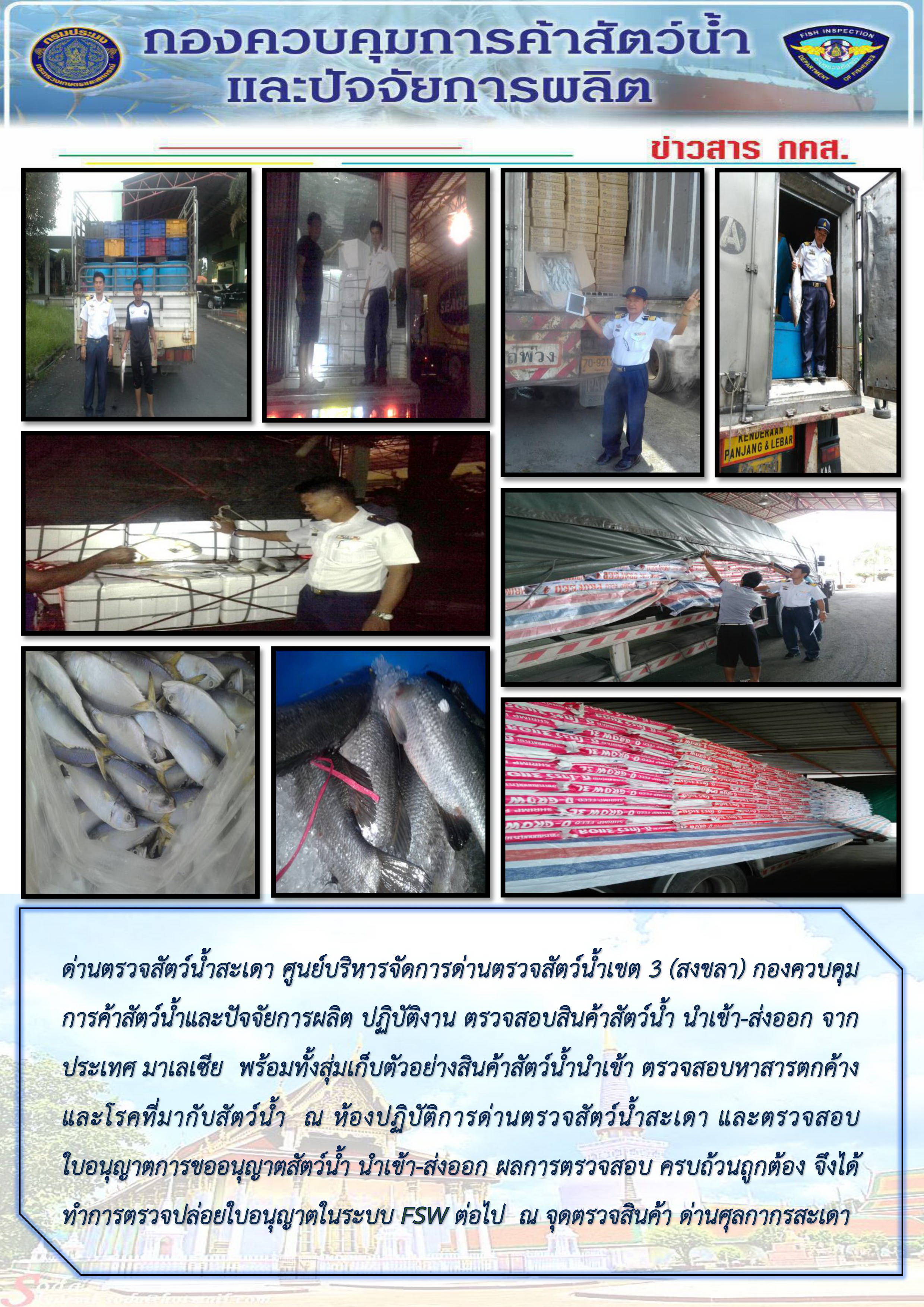เจ้าหน้าที่ด่านฯสะเดา ปฏิบัติงาน ตรวจสอบสินค้าสัตว์น้ำ นำเข้า-ส่งออก จากประเทศมาเลเซีย ณ บริเวณจุดตรวจสินค้าด่านศุลกากรสะเดา..คลิก