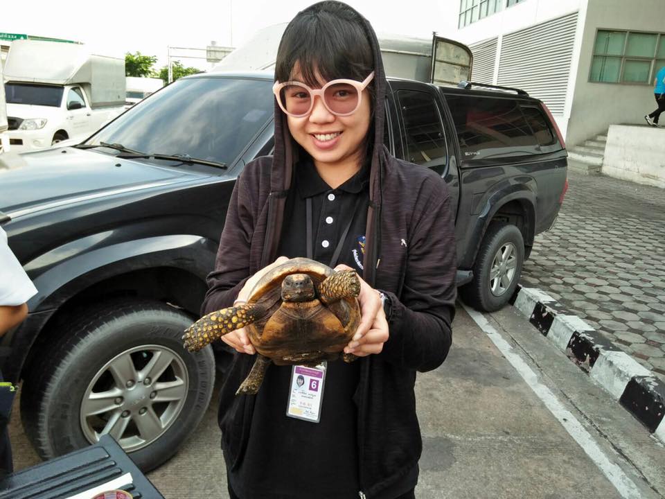 ตรวจสอบการนำเข้าสินค้าสัตว์น้ำจากประเทศฮ่องกง..คลิก