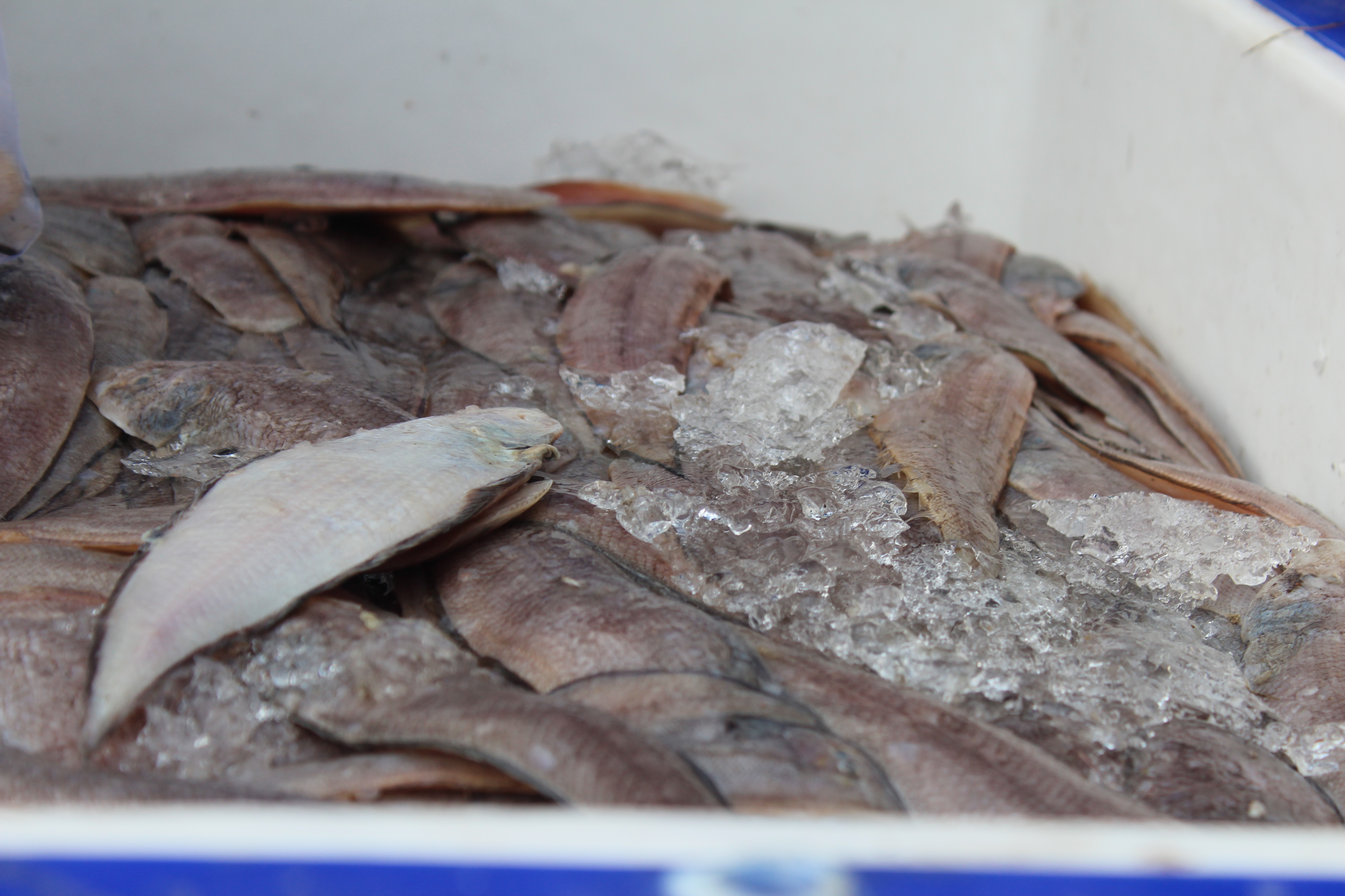 สินค้านำเข้าจากประเทศเมียนมา