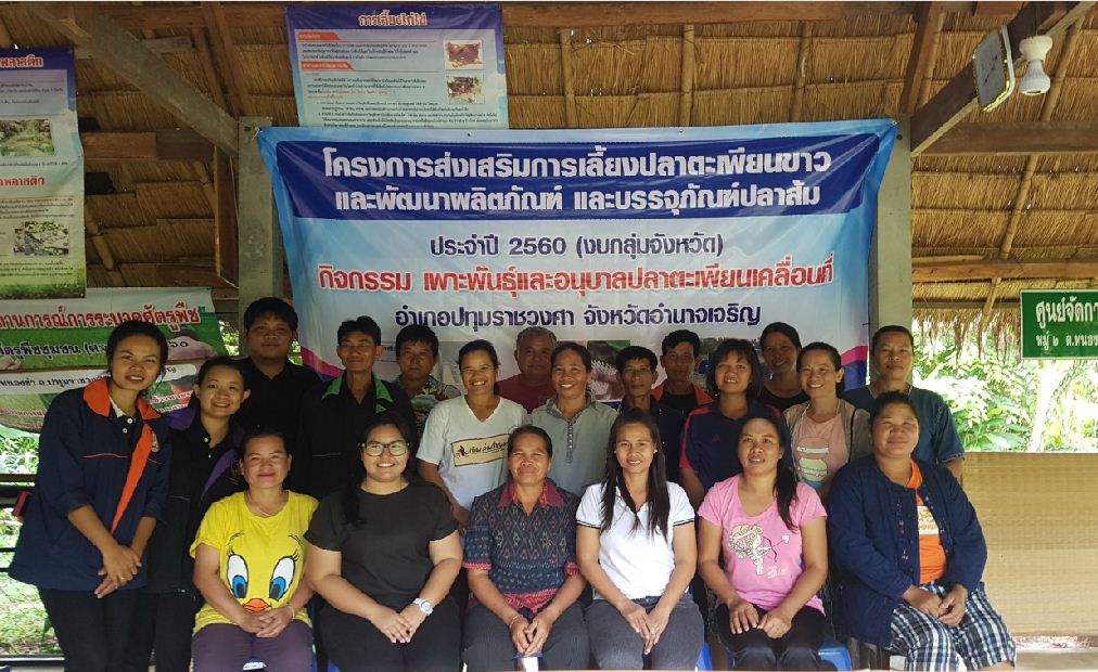 ศูนย์วิจัยและพัฒนาการเพาะเลี้ยงสัตว์น้ำจืดอำนาจเจริญสำนักงานประมงจังหวัดอำนาจเจริญ นายชมเชย ป้องเพชร เกษตรกรต้นแบบ ( เพื่อนช่วยเพื่อน)พร้อมด้วยเจ้าหน้าที่ จาก กองโครงการอันเนื่องมาจากพระราชดำริและกิจกรรมพิเศษเข้าร่วมติดตาม เยี่ยมเยียน และสัมภาษณ์ เกษตรกรที่ร่วมโครงการเกษตรทฤษฏีใหม่ ปี ๒๕๖๐..คลิก