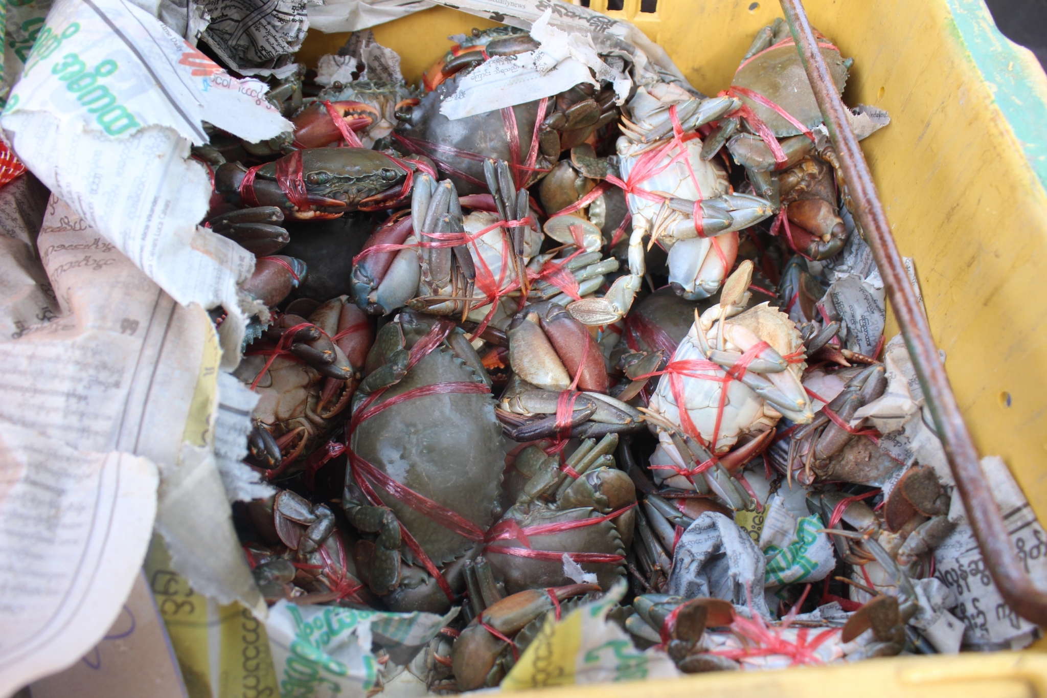 สินค้านำเข้าจากประเทศเมียนมา..คลิก