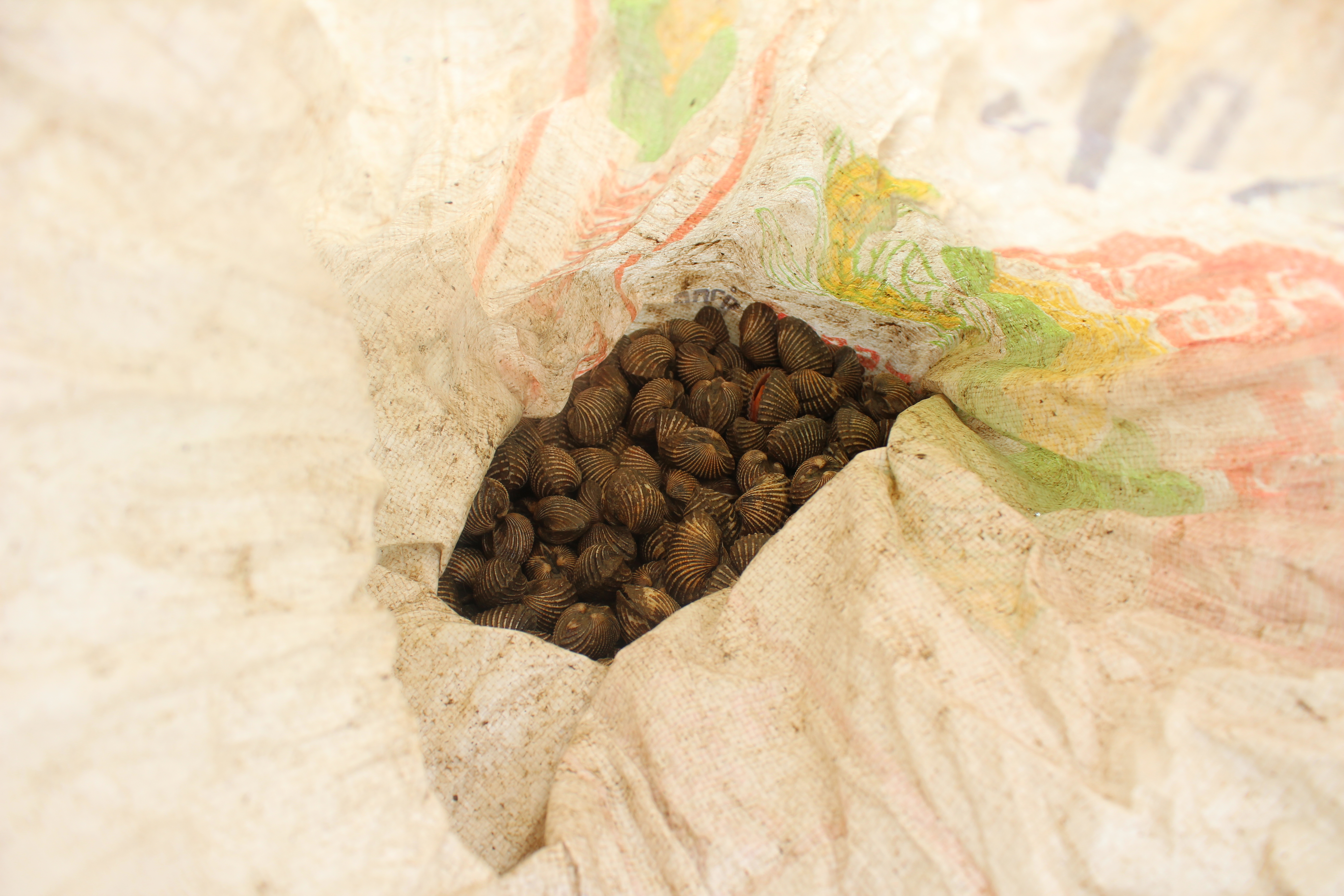 สินค้านำเข้าจากประเทศเมียนมา