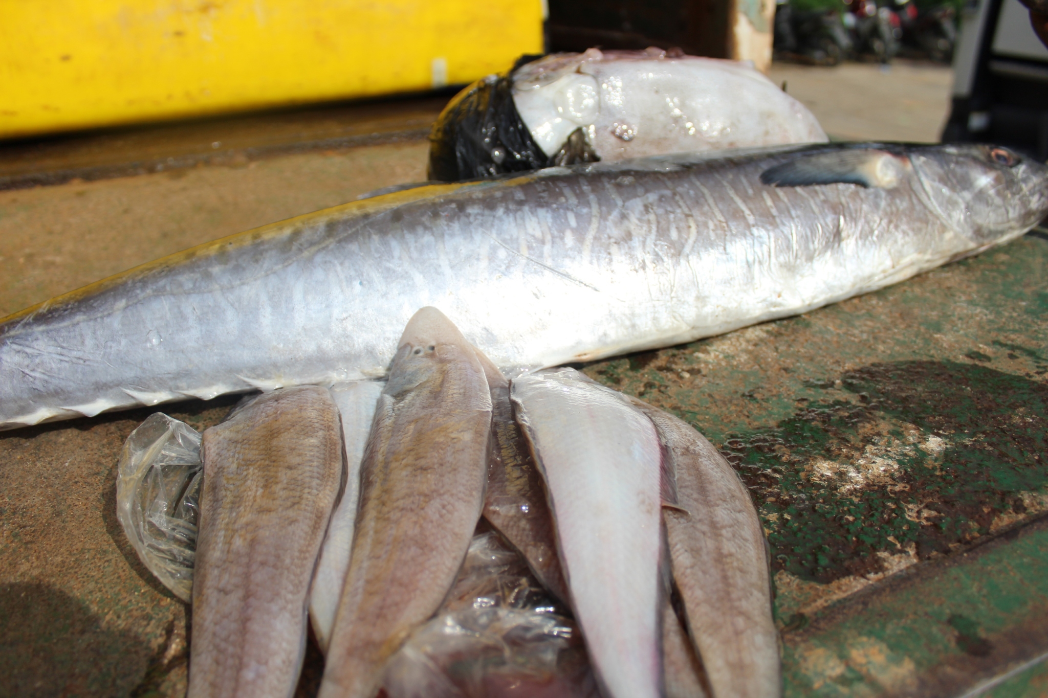 สินค้านำเข้าจากประเทศเมียนมา