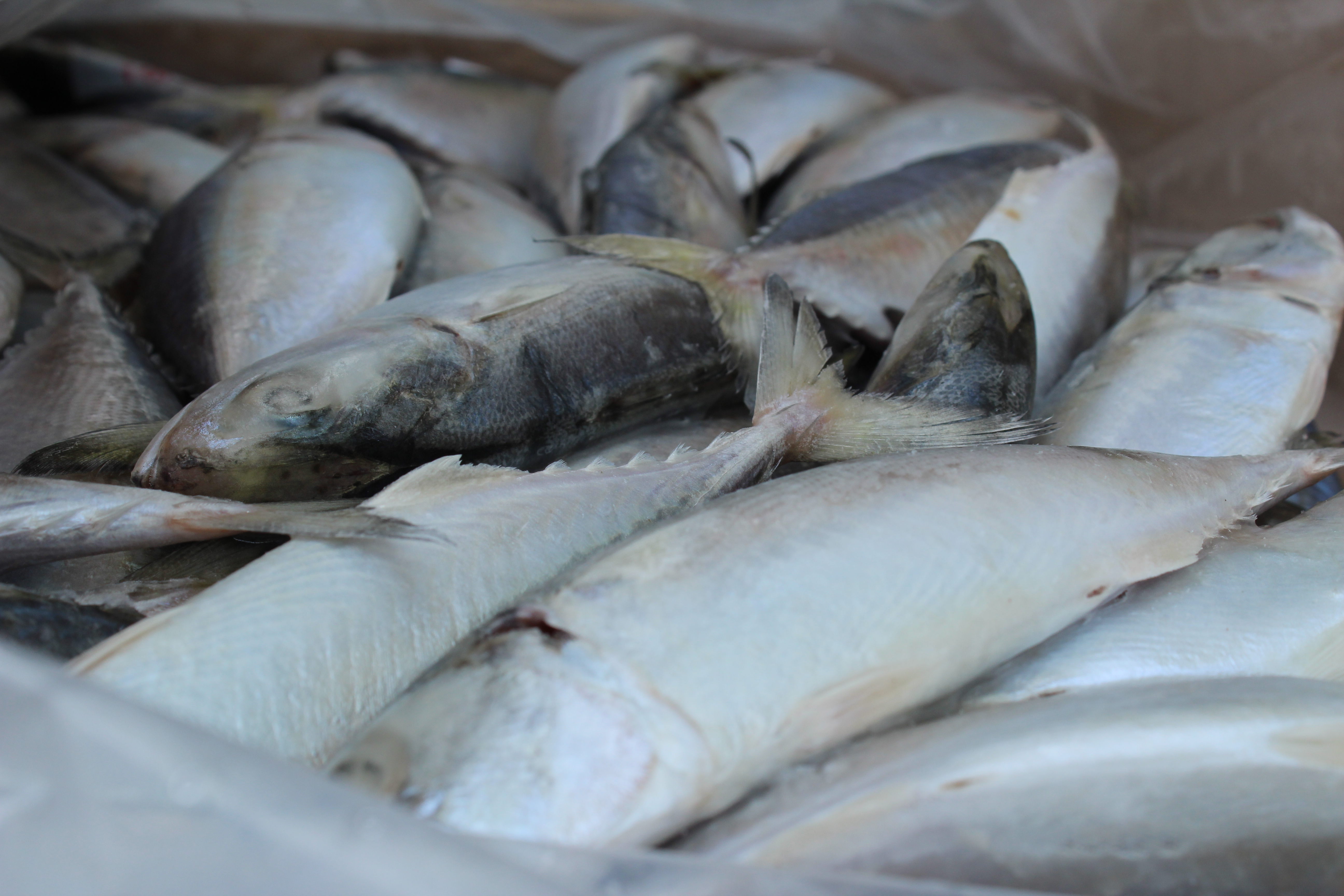 สินค้านำเข้าจากประเทศเมียนมา