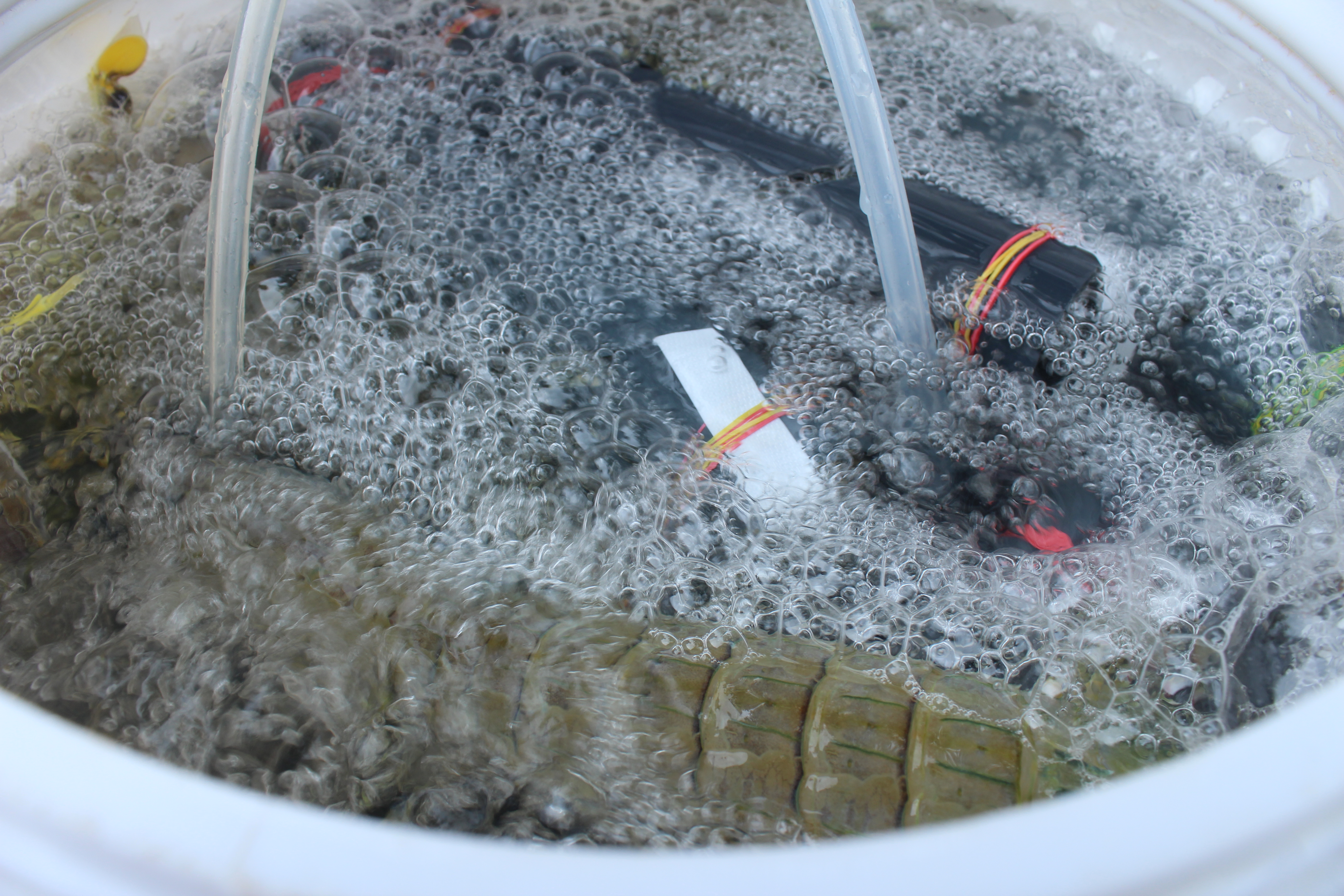 สินค้านำเข้าจากประเทศเมียนมา..คลิก