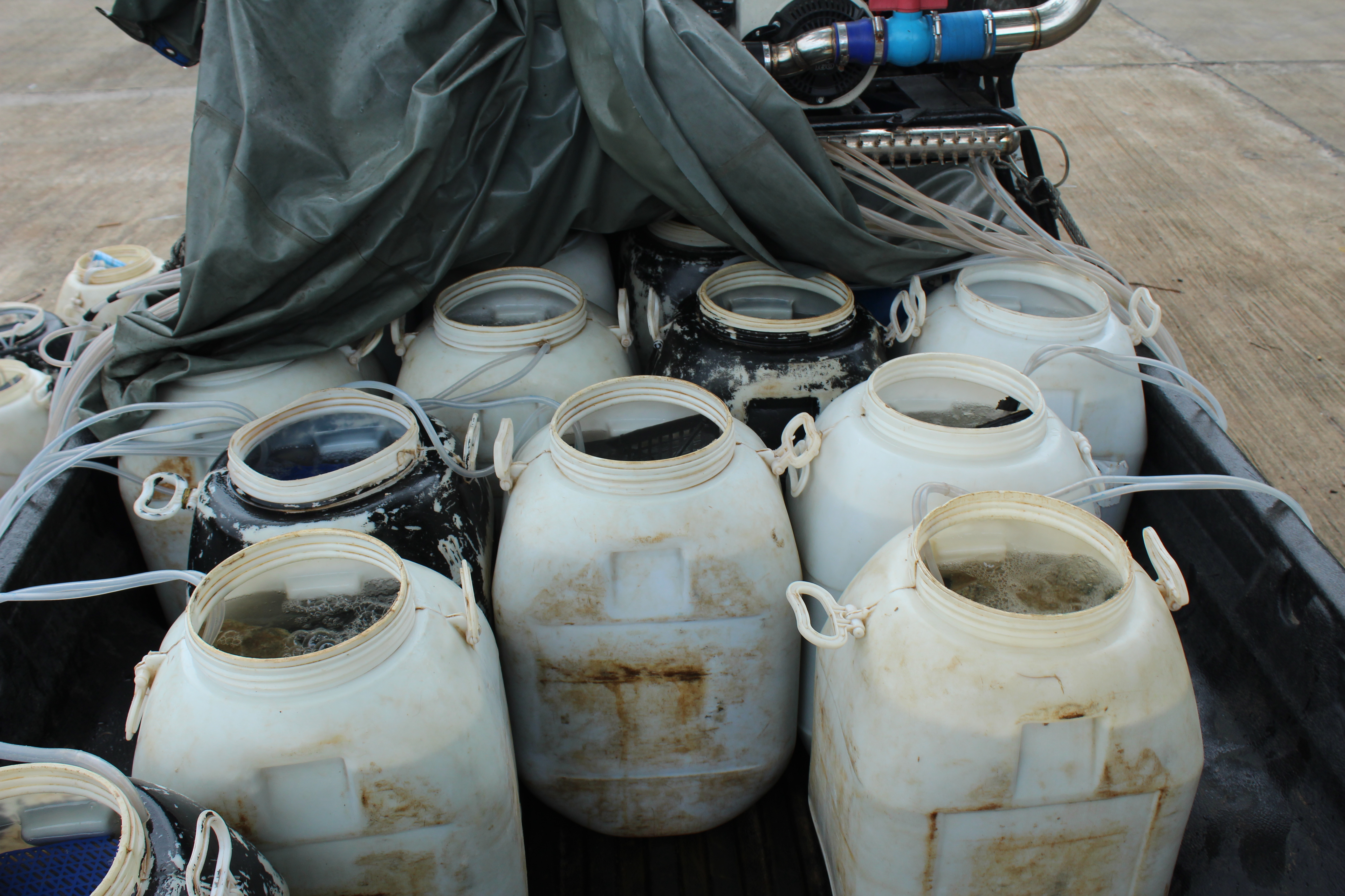 สินค้านำเข้าจากประเทศเมียนมา