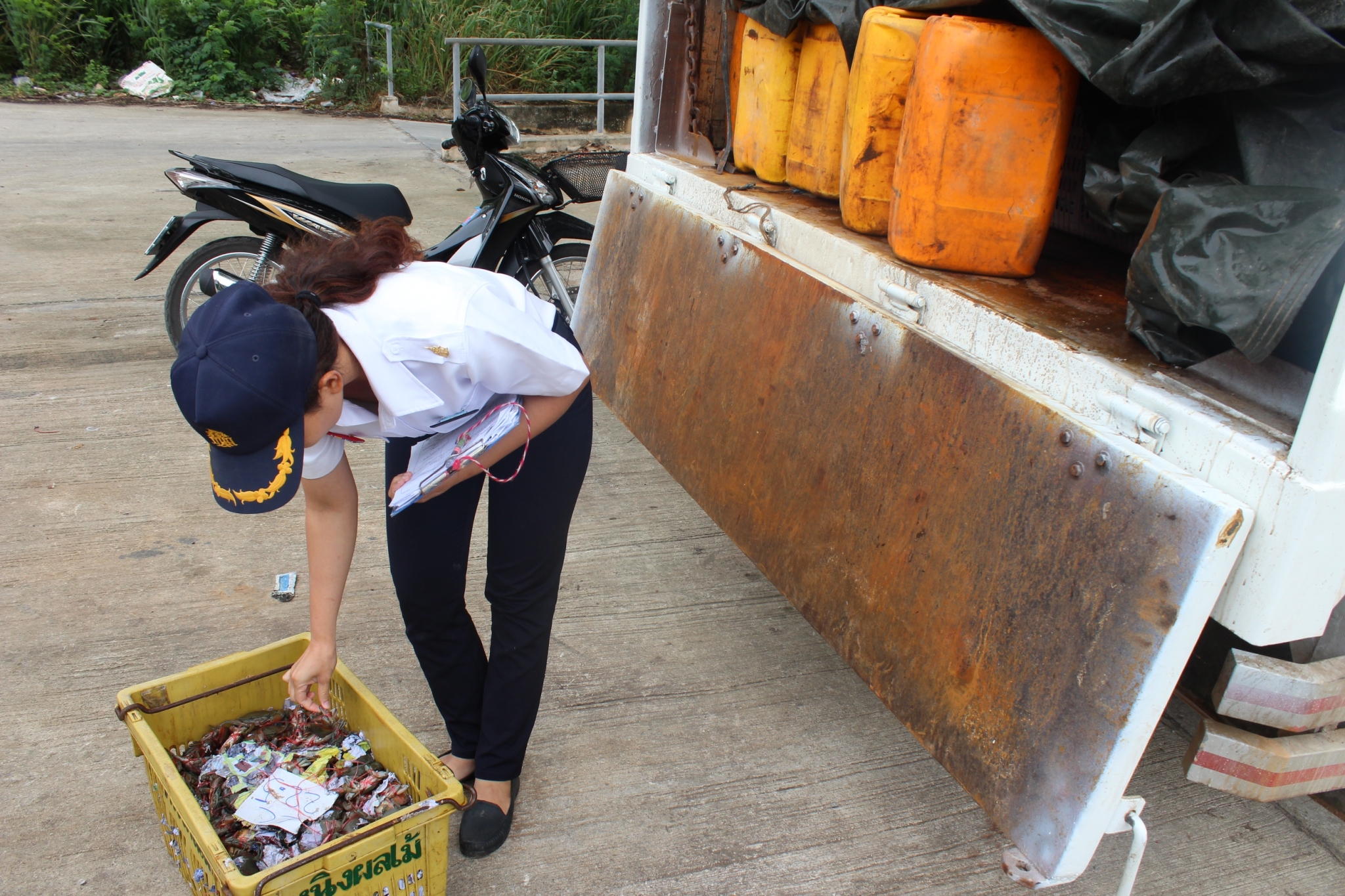 สินค้านำเข้าจากประเทศเมียนมา