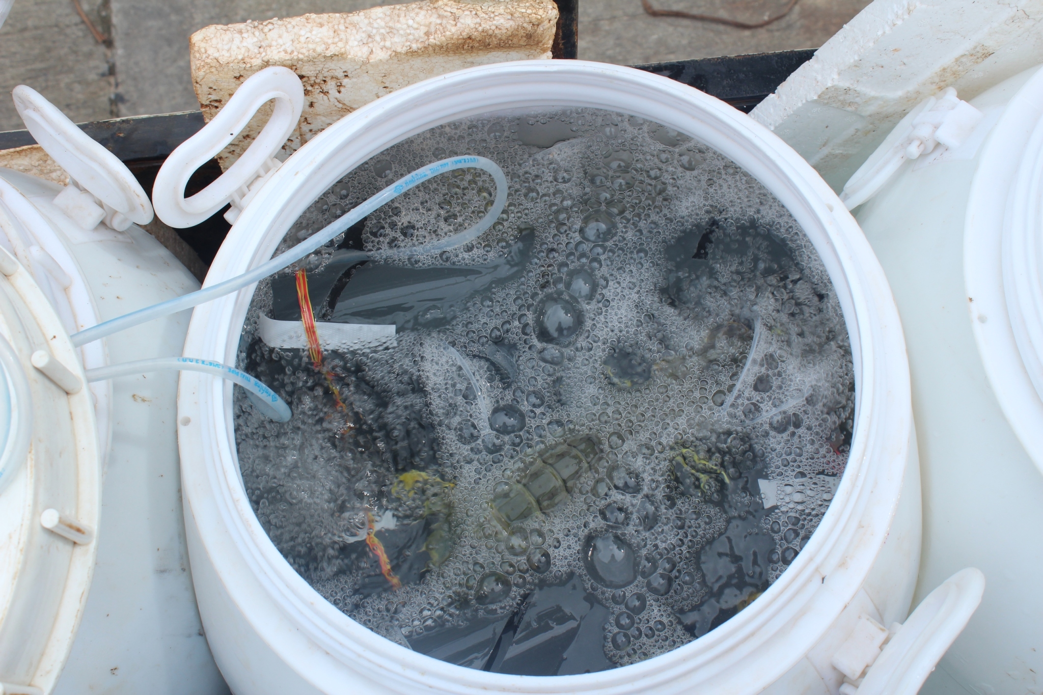 สินค้านำเข้าจากประเทศเมียนมา..คลิก