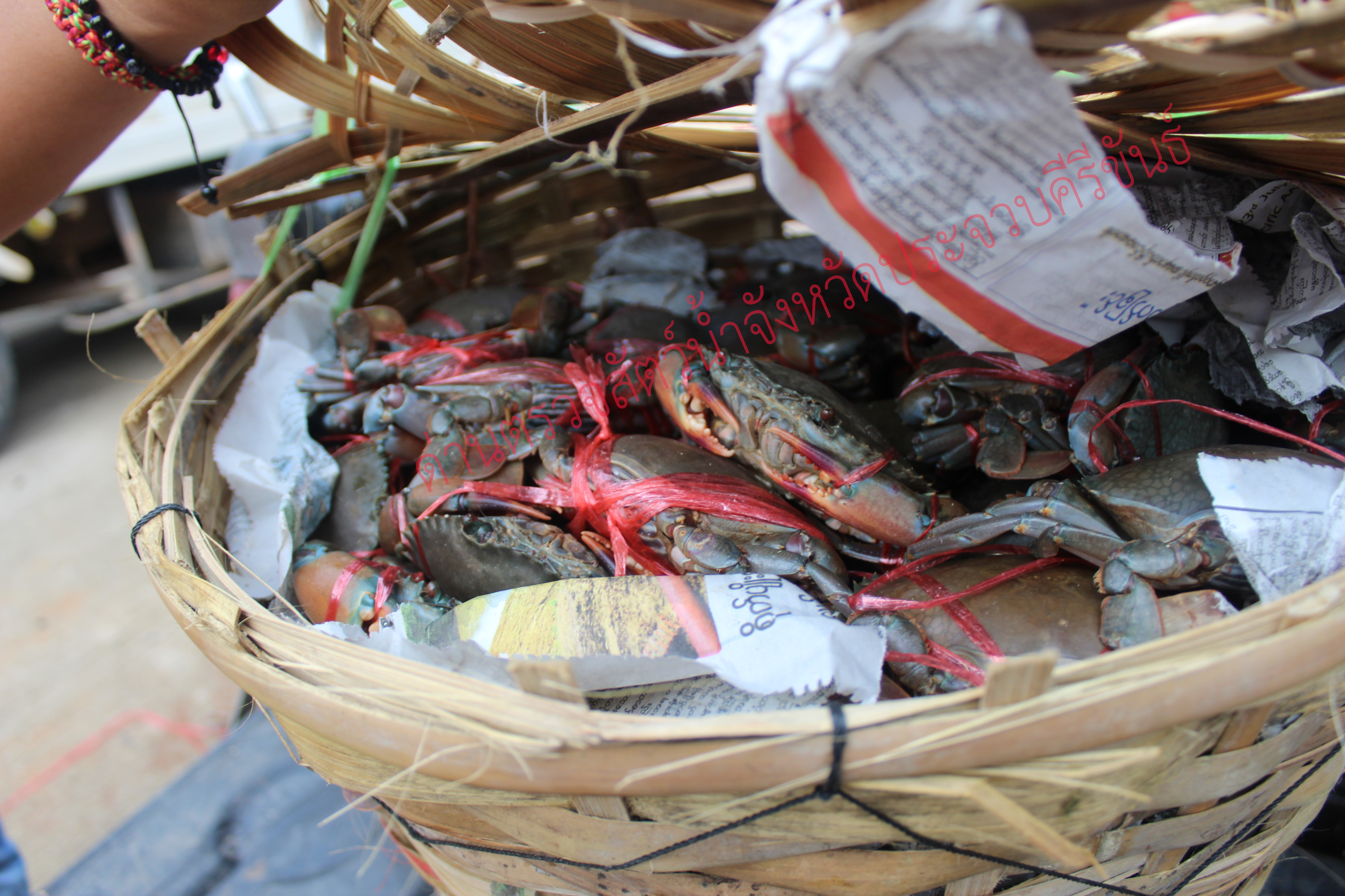 สินค้านำเข้าจากประเทศเมียนมา