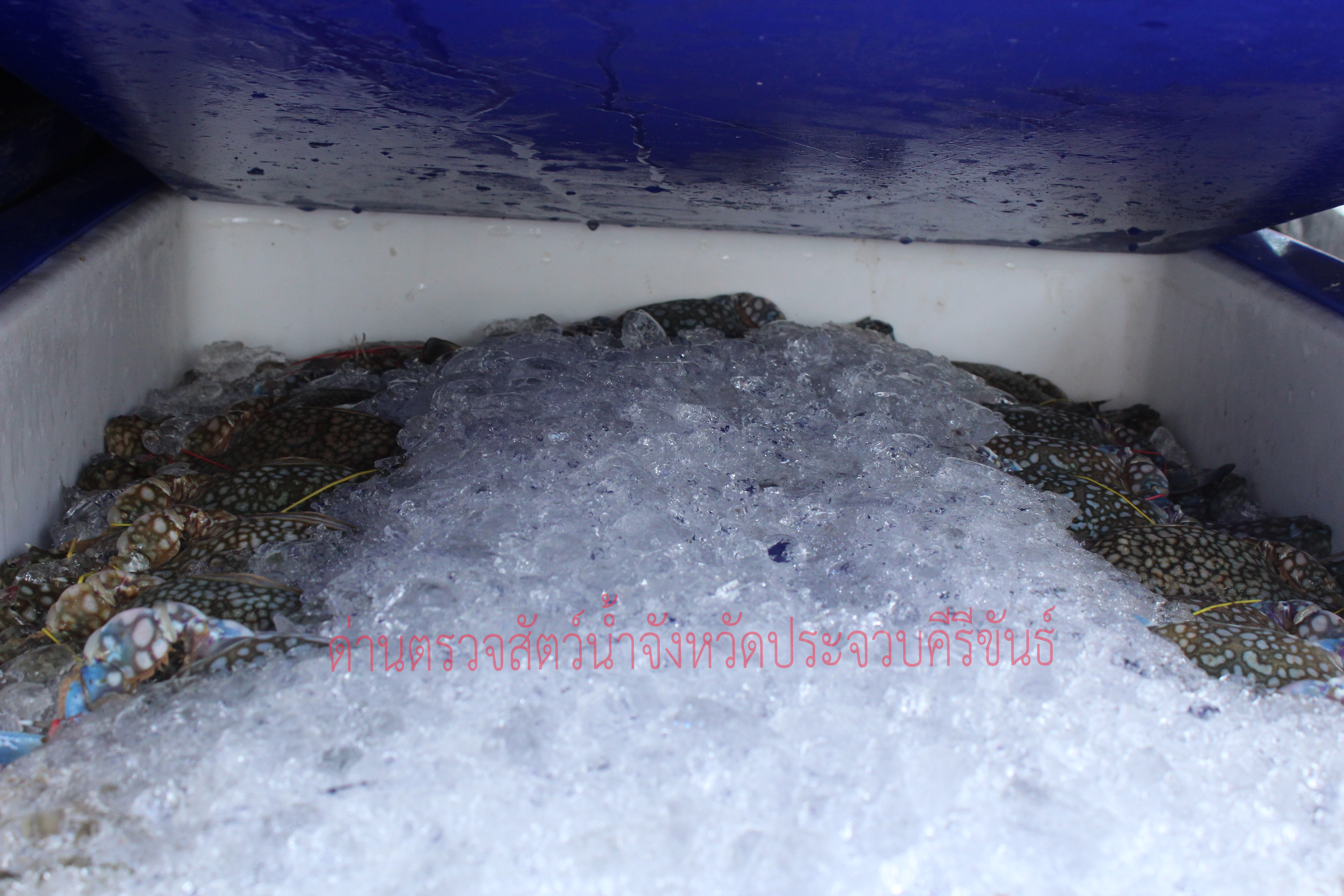 สินค้านำเข้าจากประเทศเมียนมา