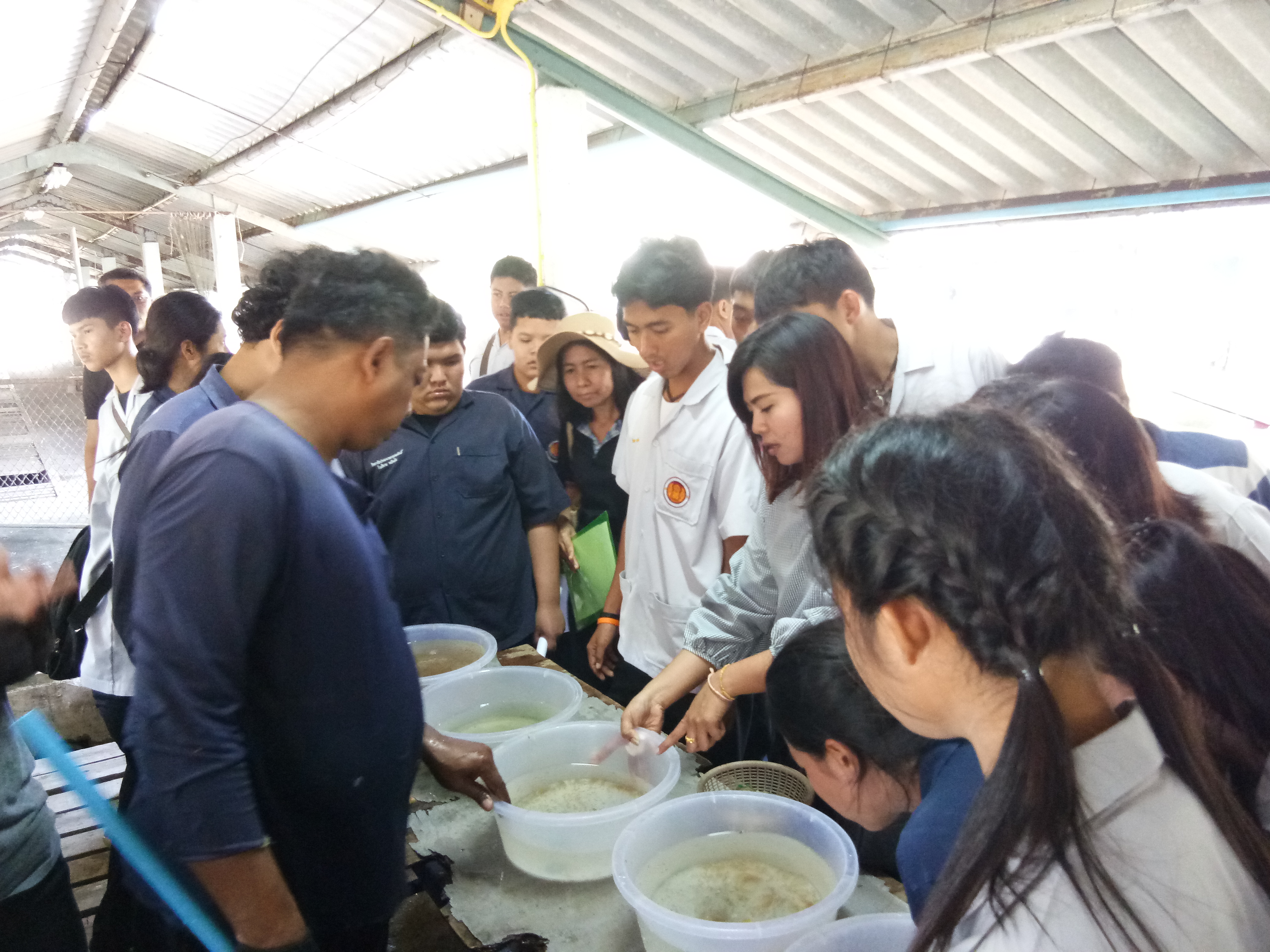 นักเรียนวิทยาลัยประมงชุมพรเขตรอุดมศักดิ์ศึกษาดูงาน..คลิก