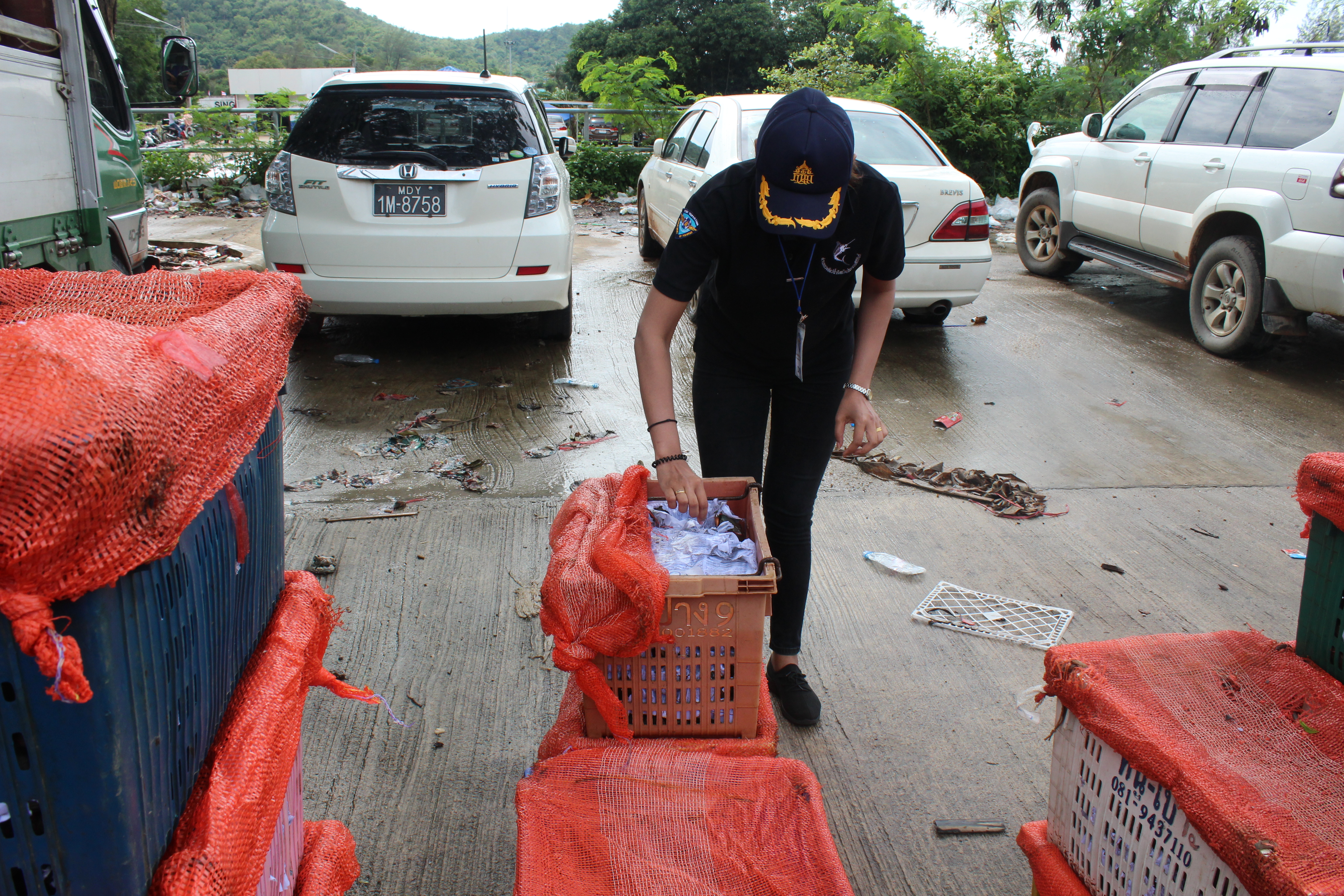 สินค้านำเข้าจากประเทศเมียนมา